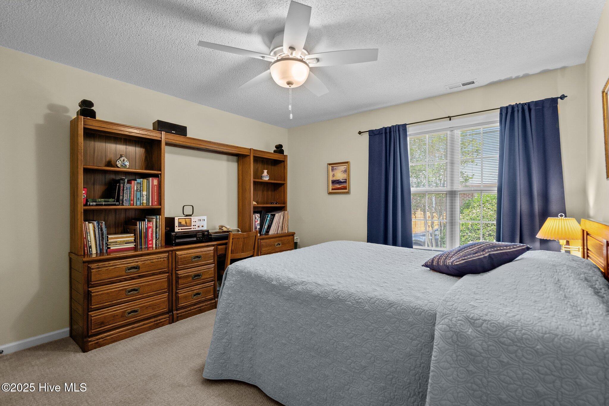 100515832 | Photo 37