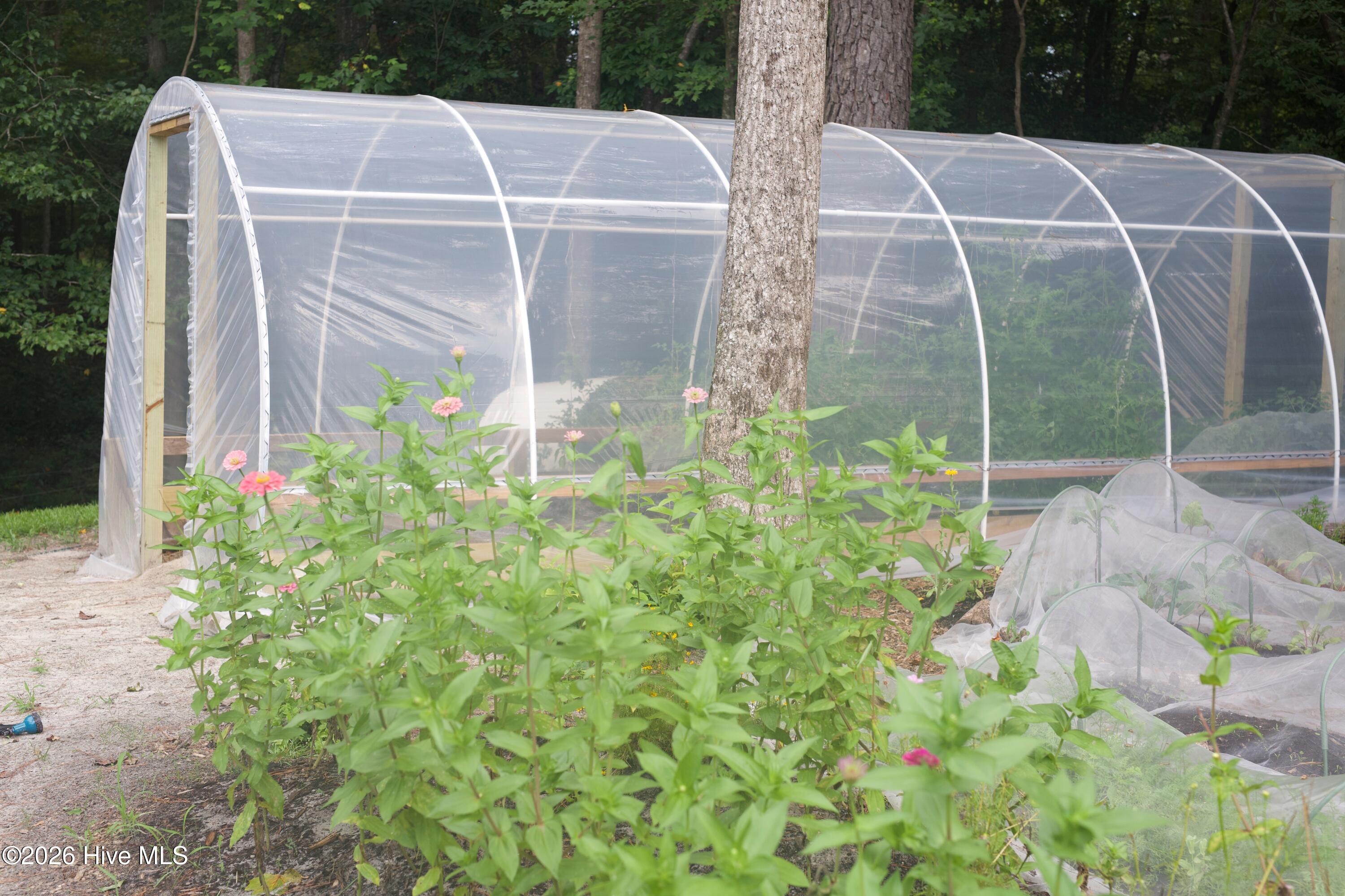 100558735 | Photo 70