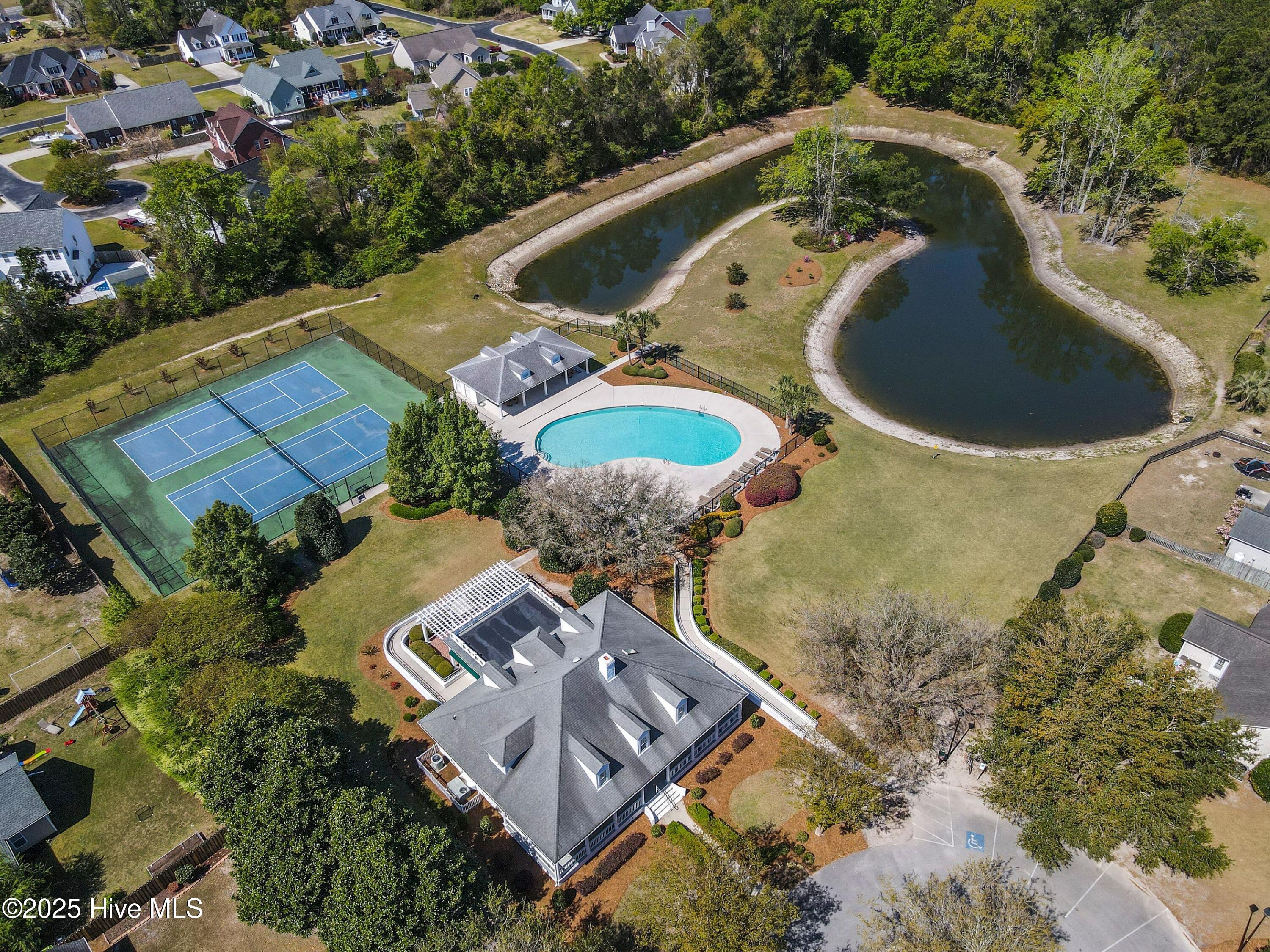 100509551 | Photo 47