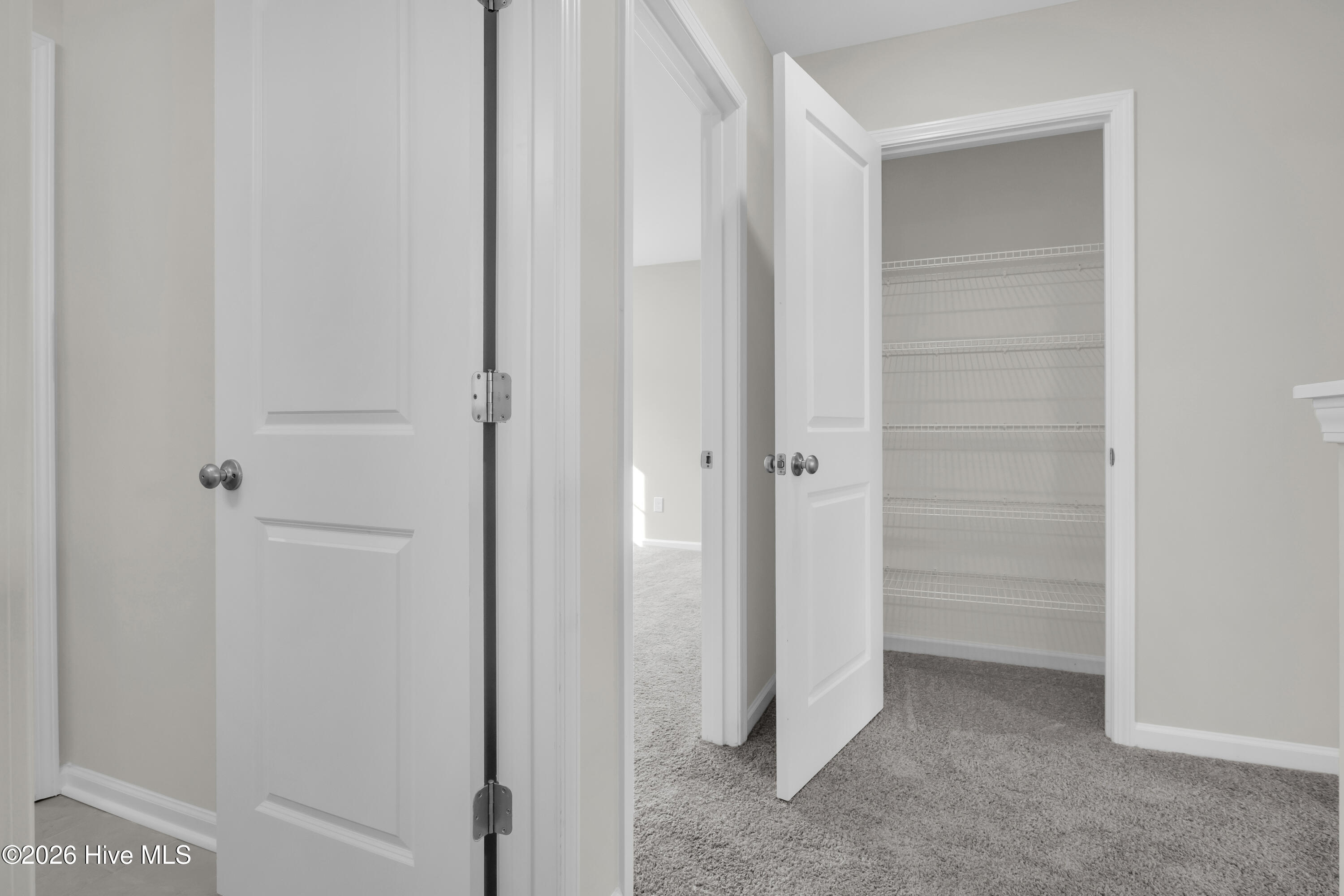 100552791 | Photo 51