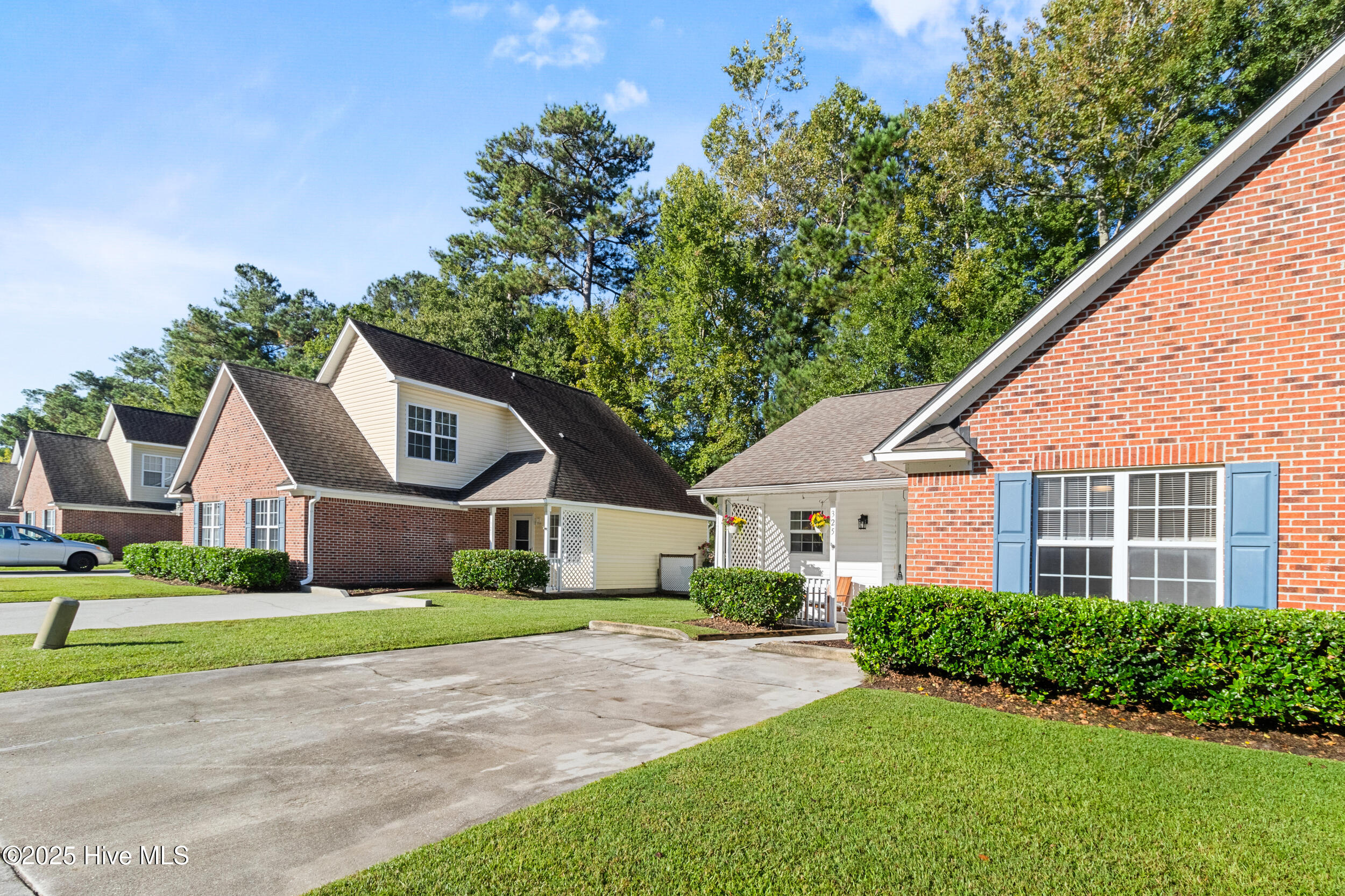 100534993 | Photo 30