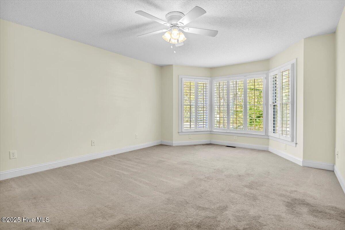 100536195 | Photo 17