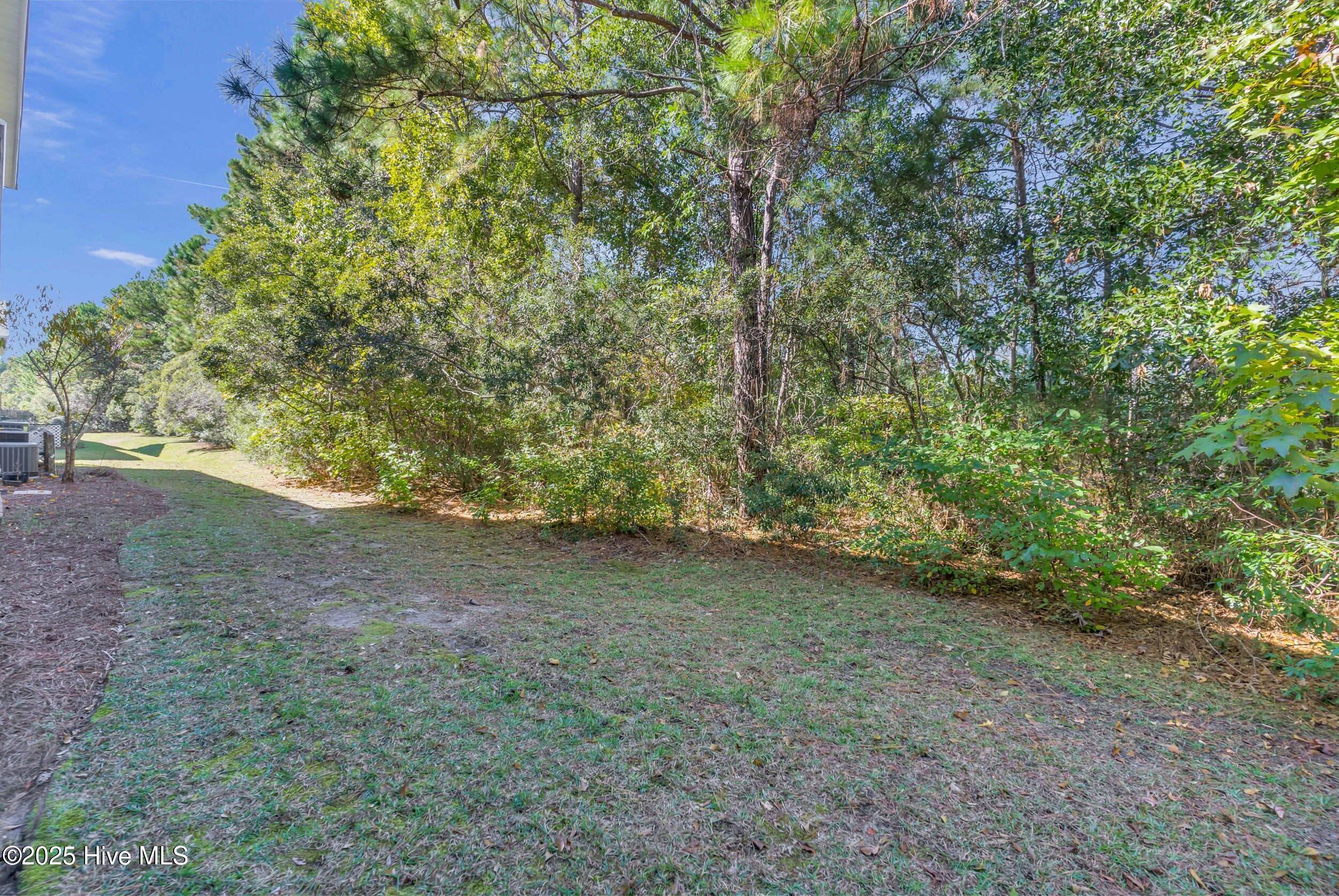 100539370 | Photo 27