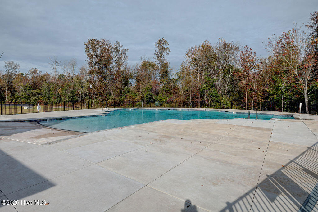 100558265 | Photo 74