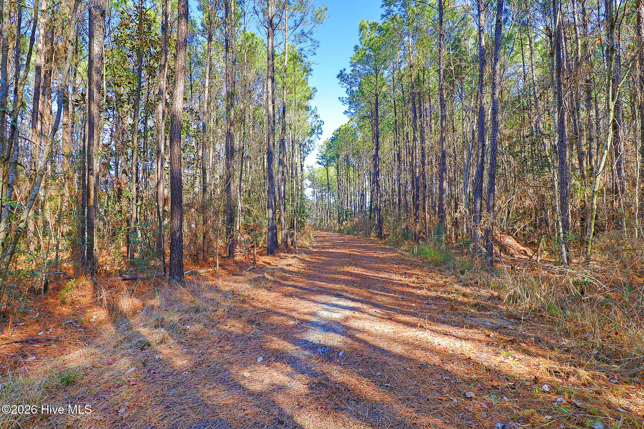1555 Country Club Road,Morehead City