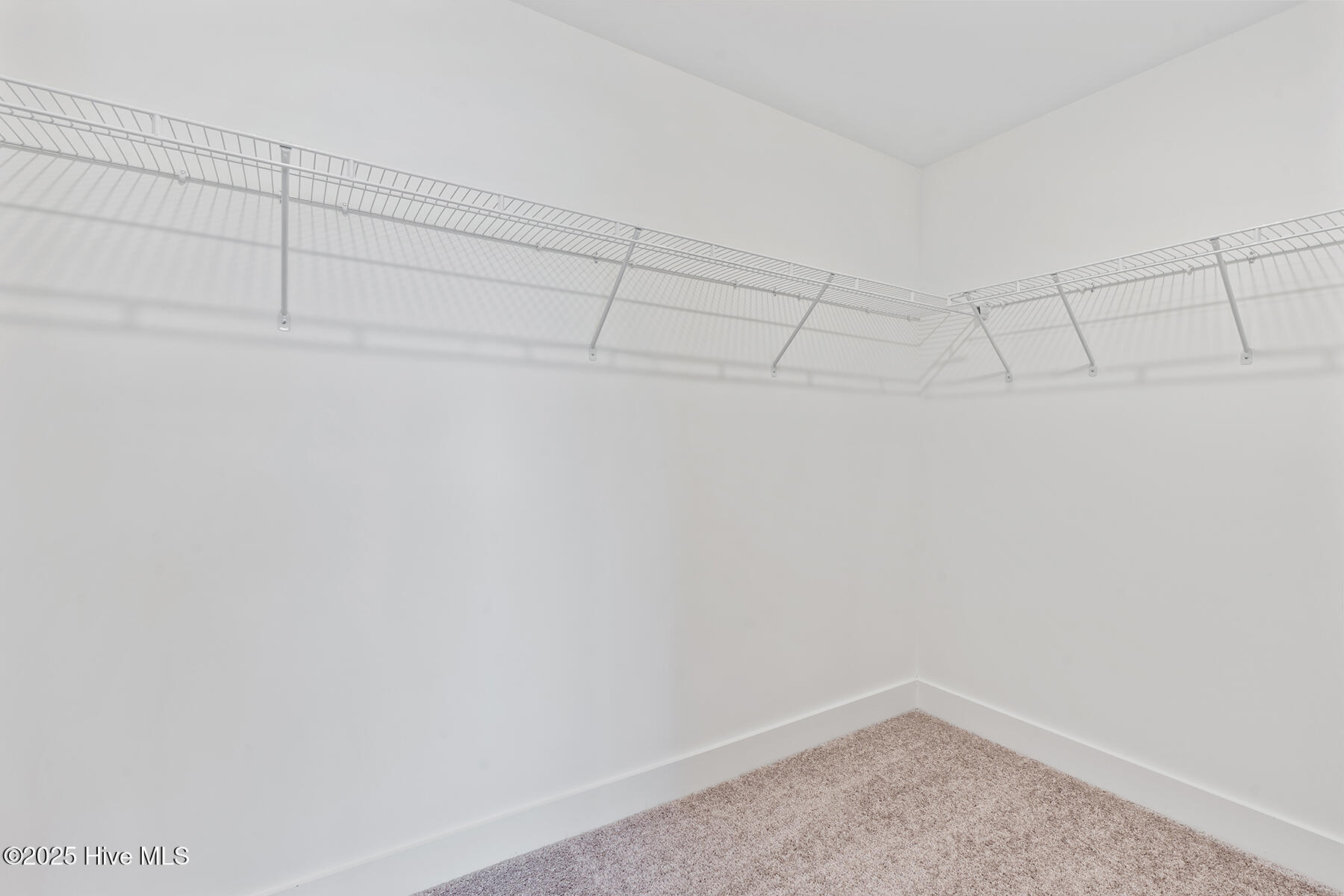 113 Umbrella Palm Drive, Hampstead, NC, 28443