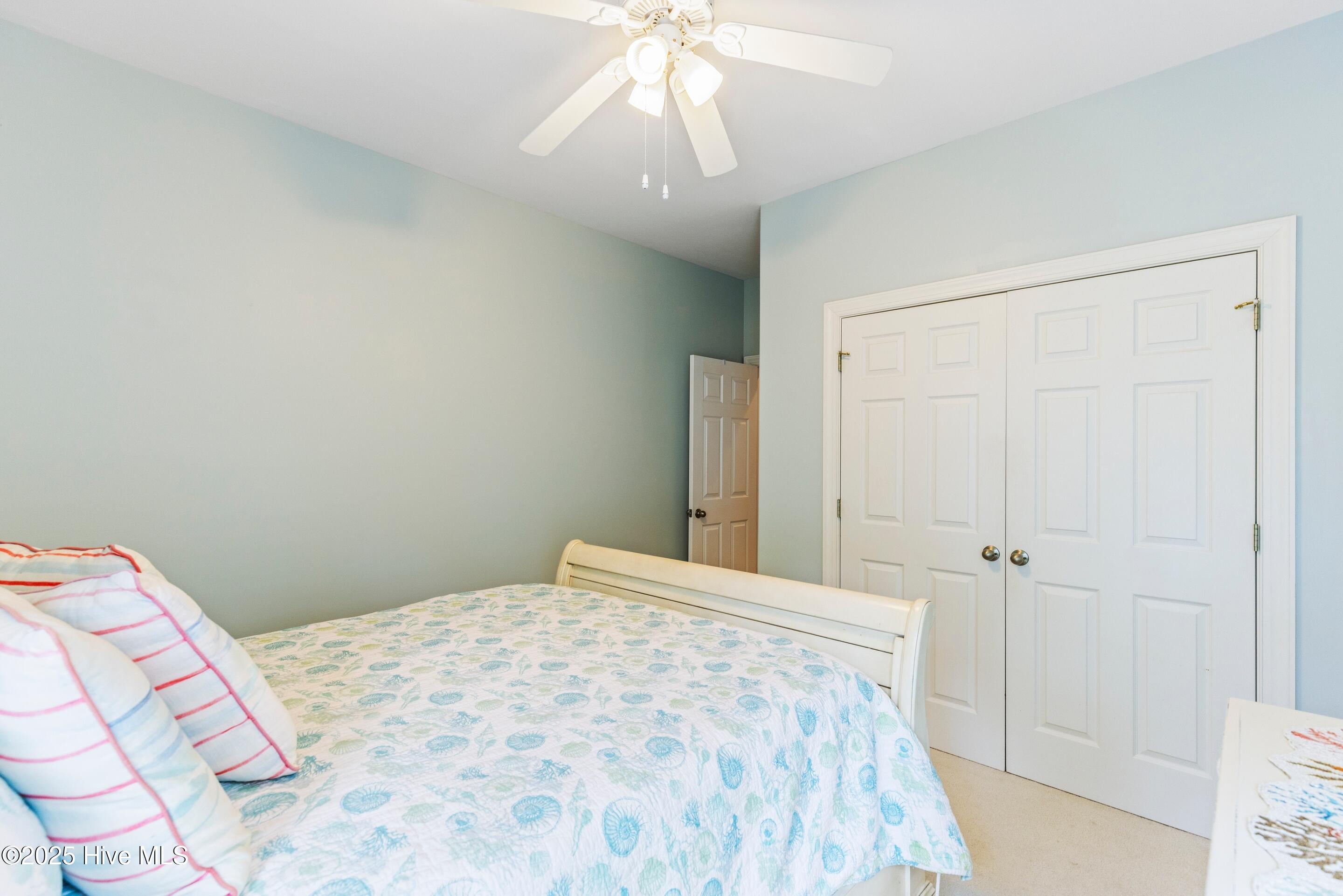 100536475 | Photo 39