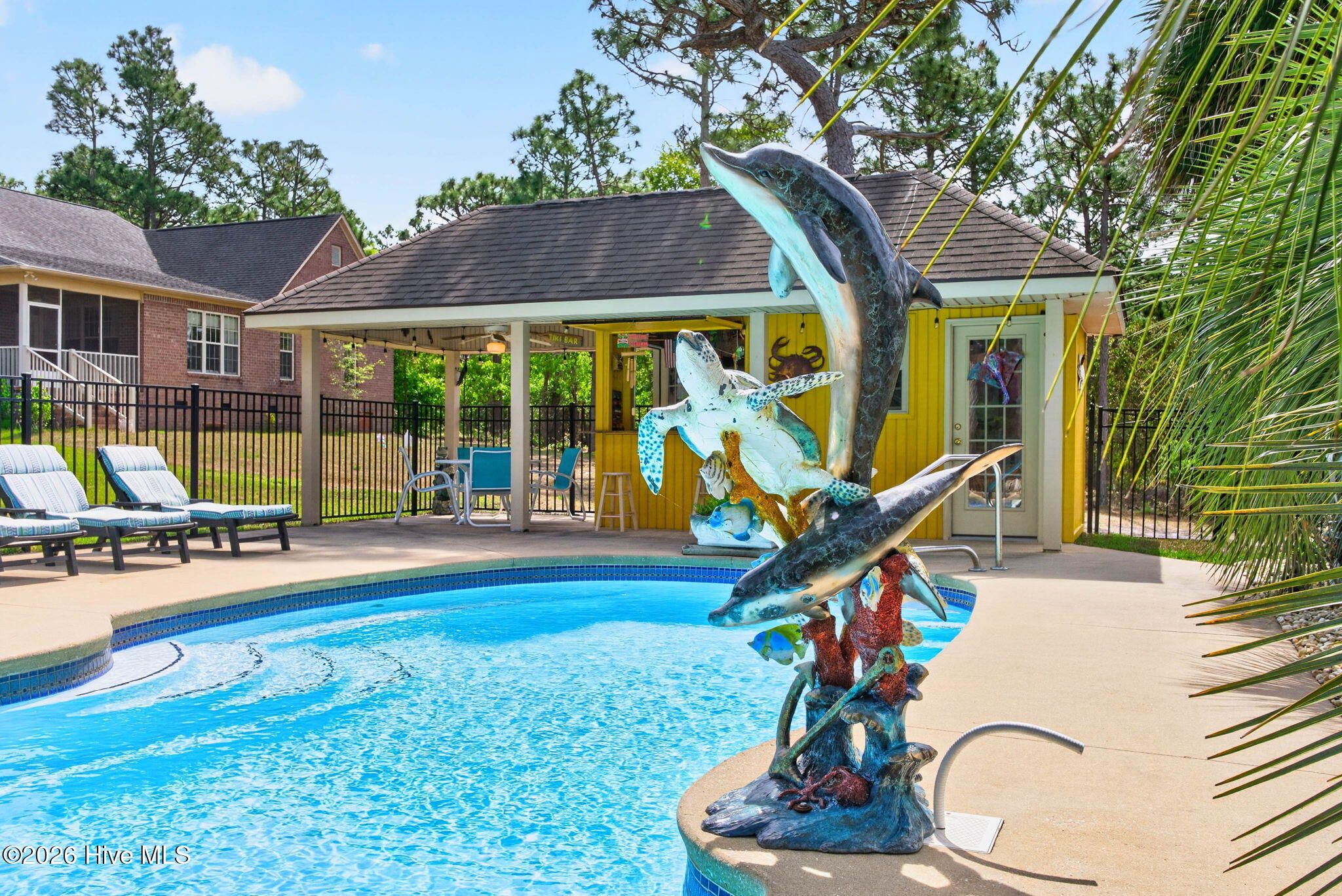 100569405 | Photo 45