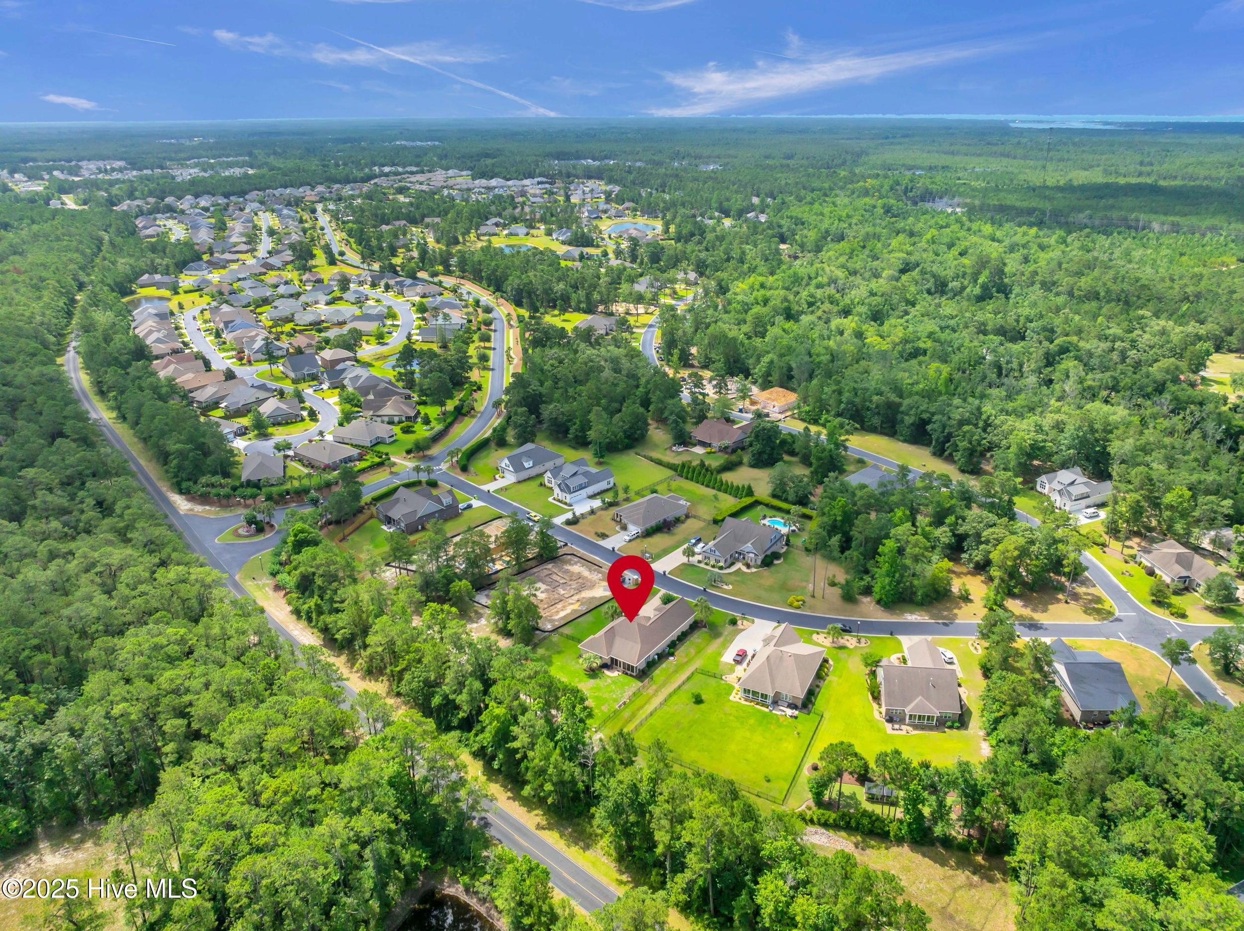 100517542 | Photo 50