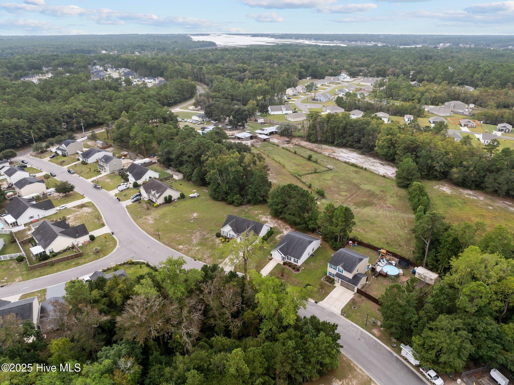 100544297 | Photo 33