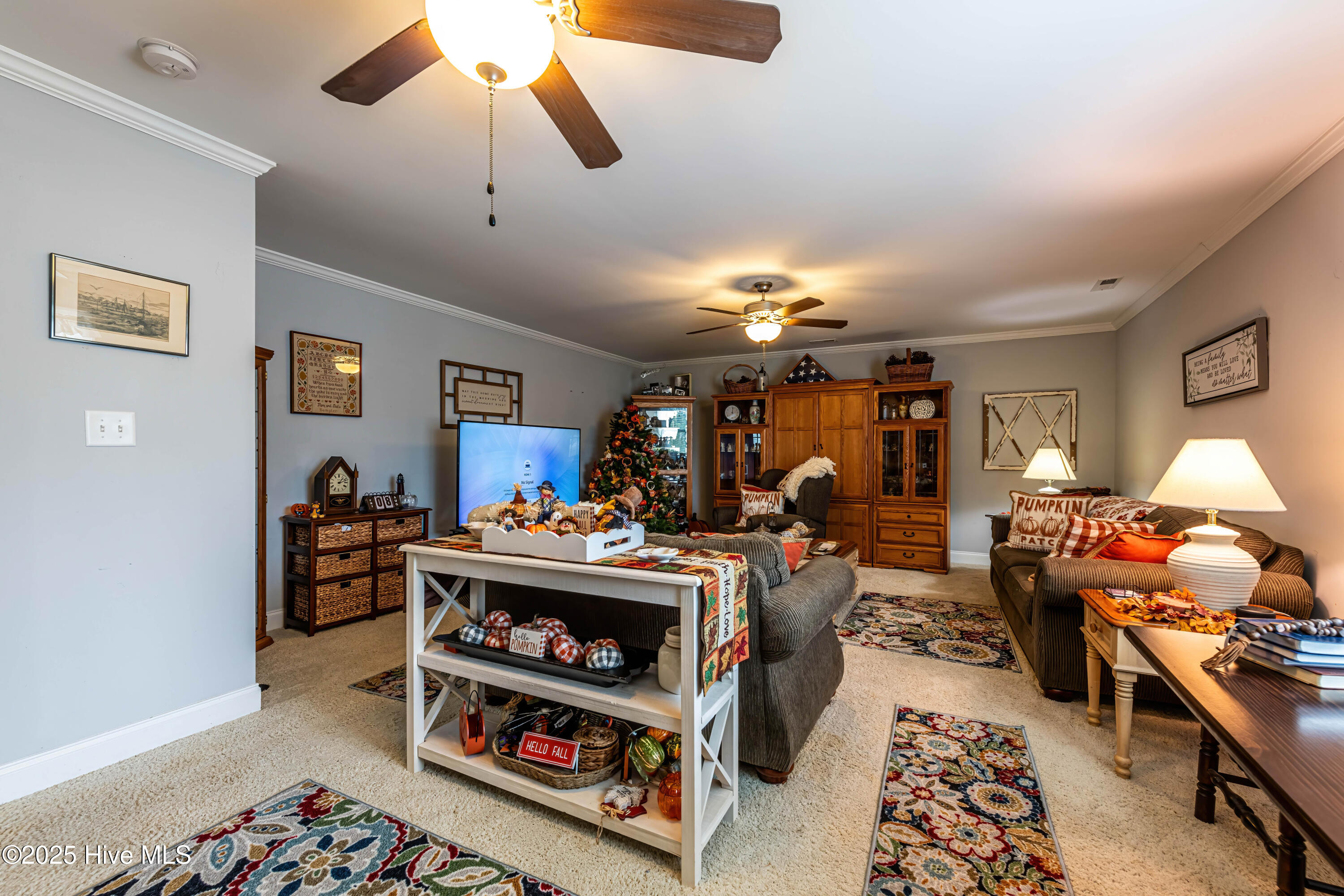 100524839 | Photo 60