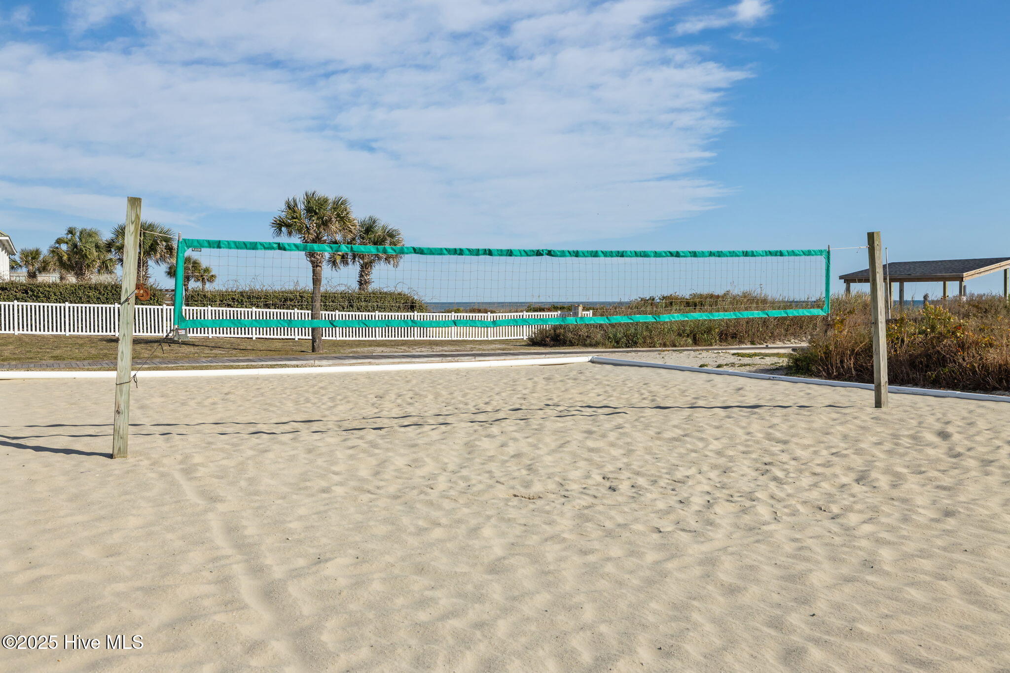 100541524 | Photo 38