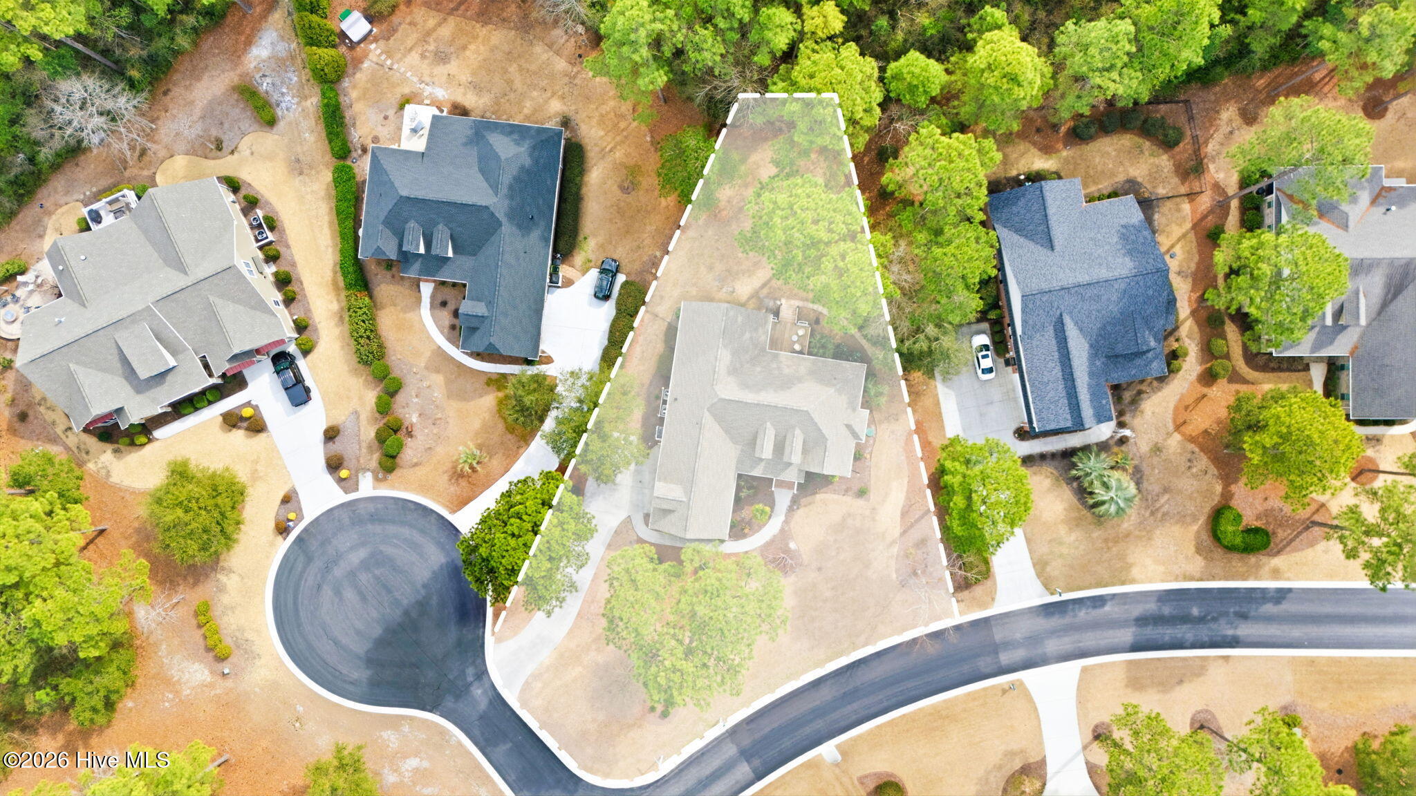 100556153 | Photo 15