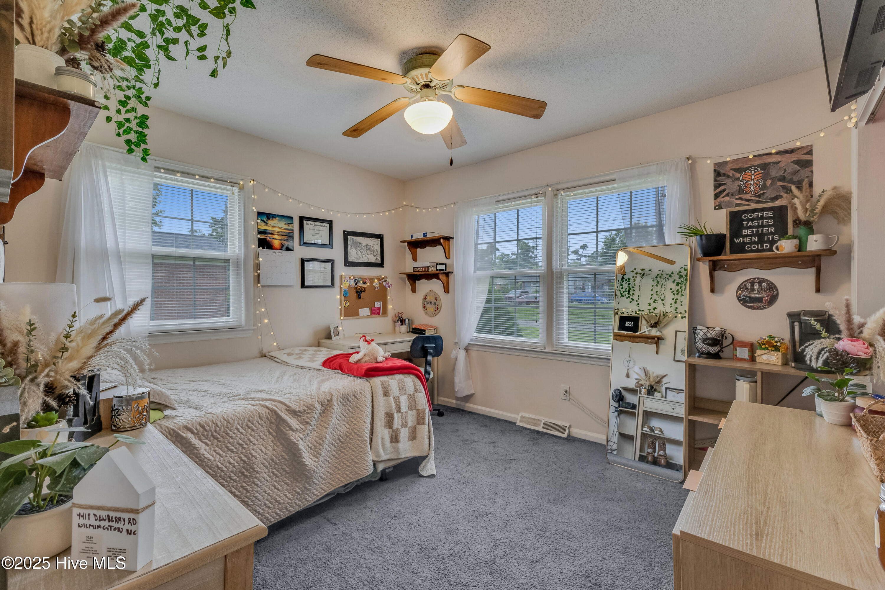 100537162 | Photo 19