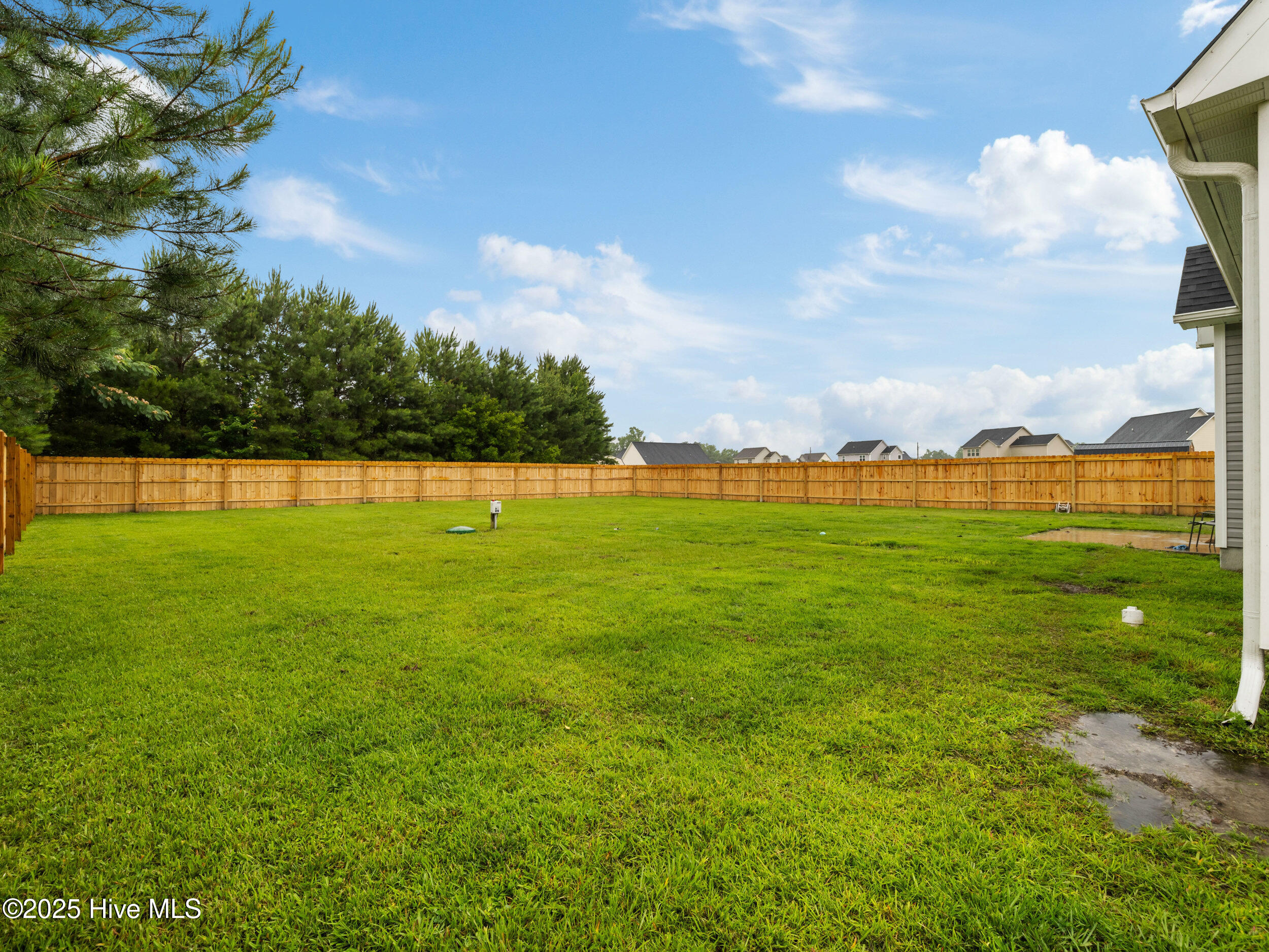 100512056 | Photo 11