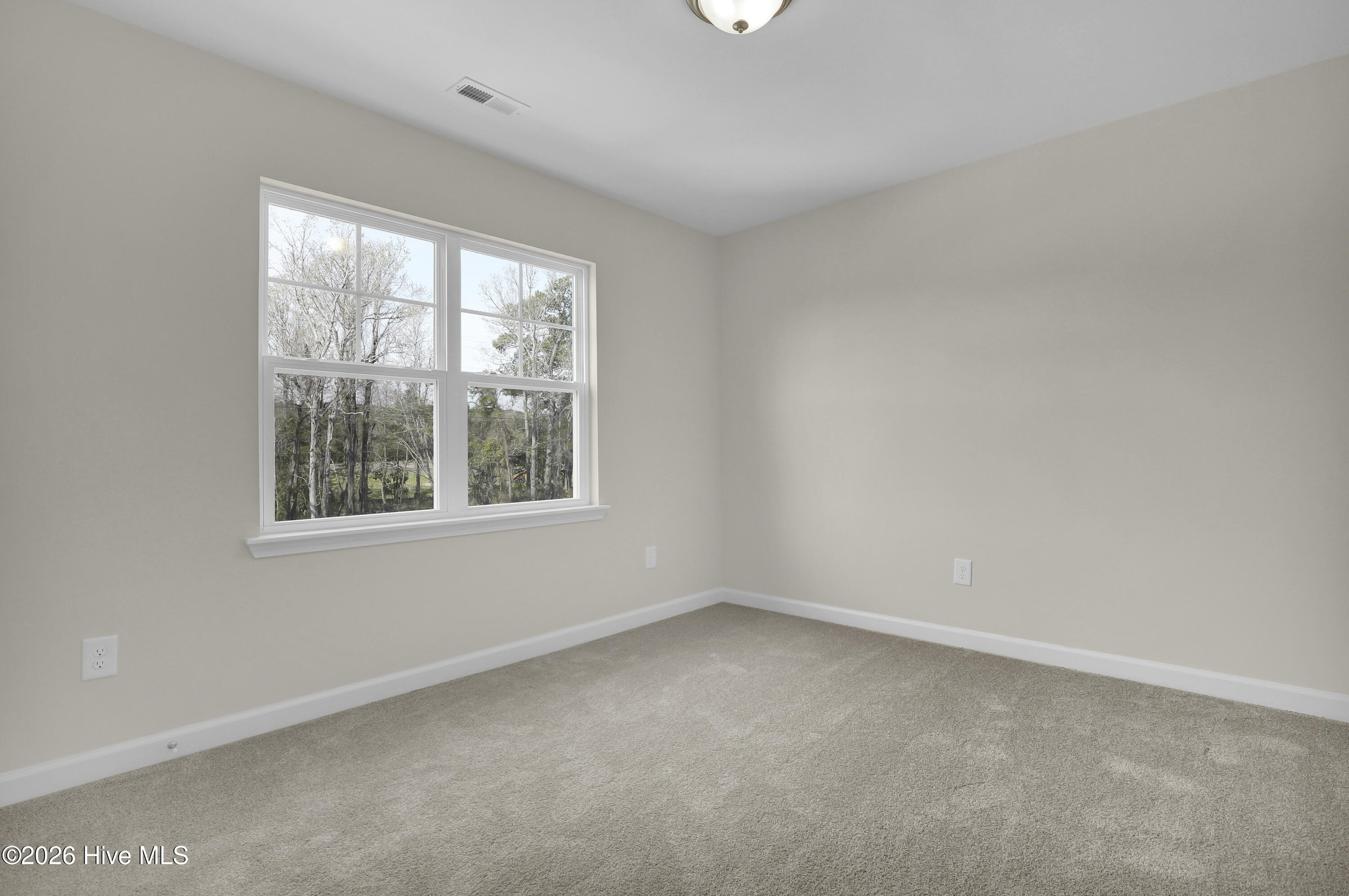 100488784 | Photo 32