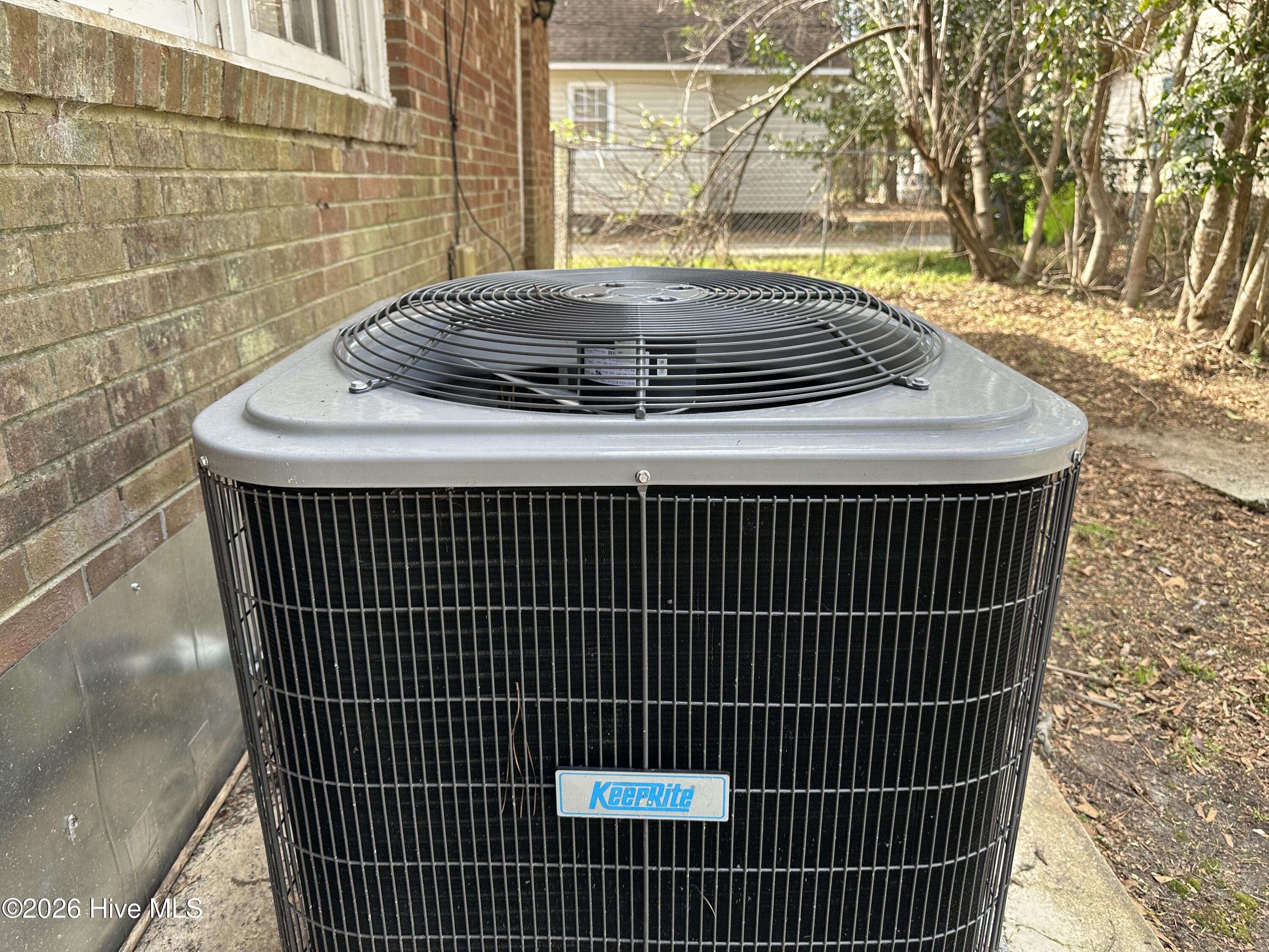 100556421 | Photo 17