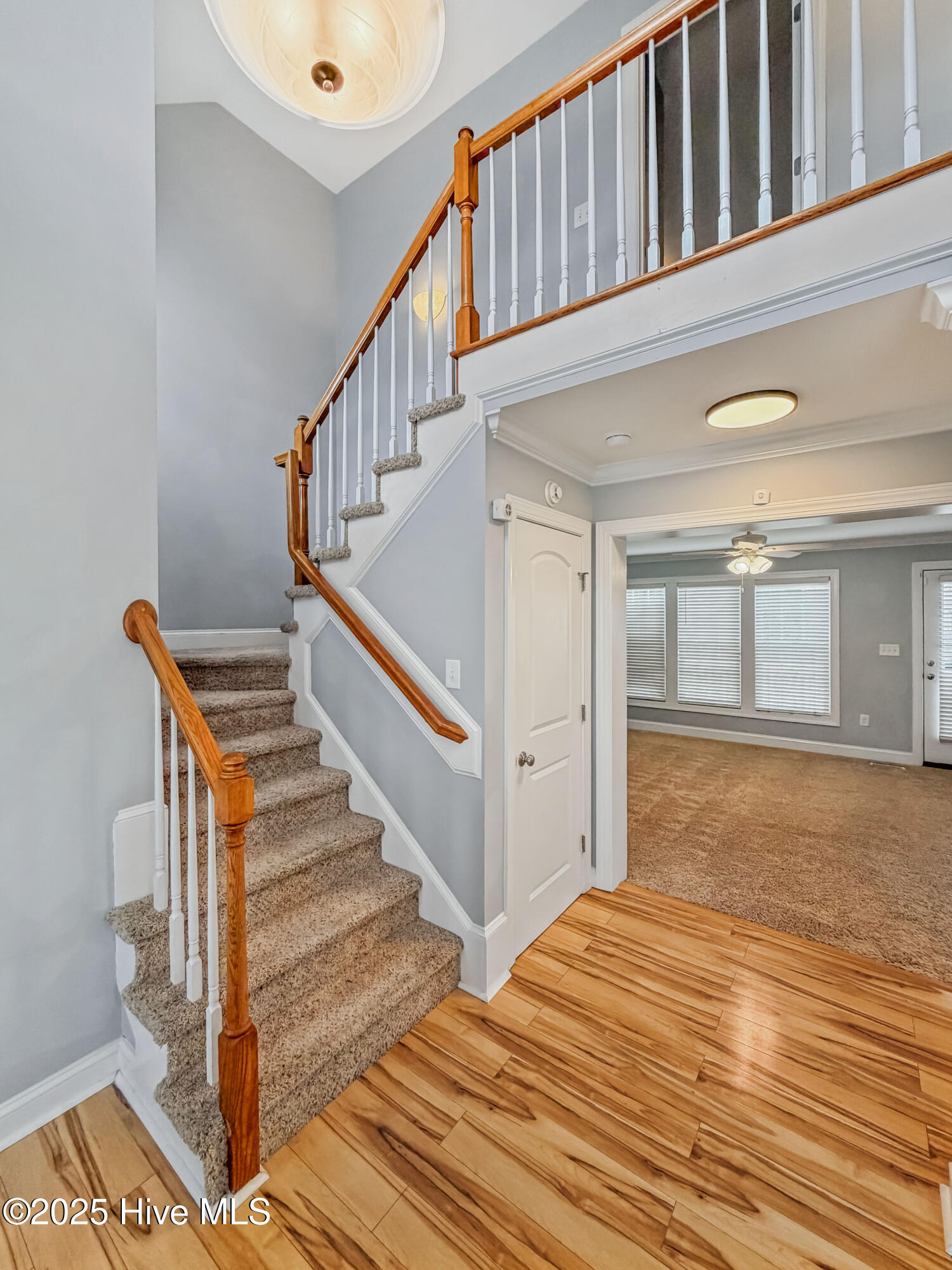 100543417 | Photo 12