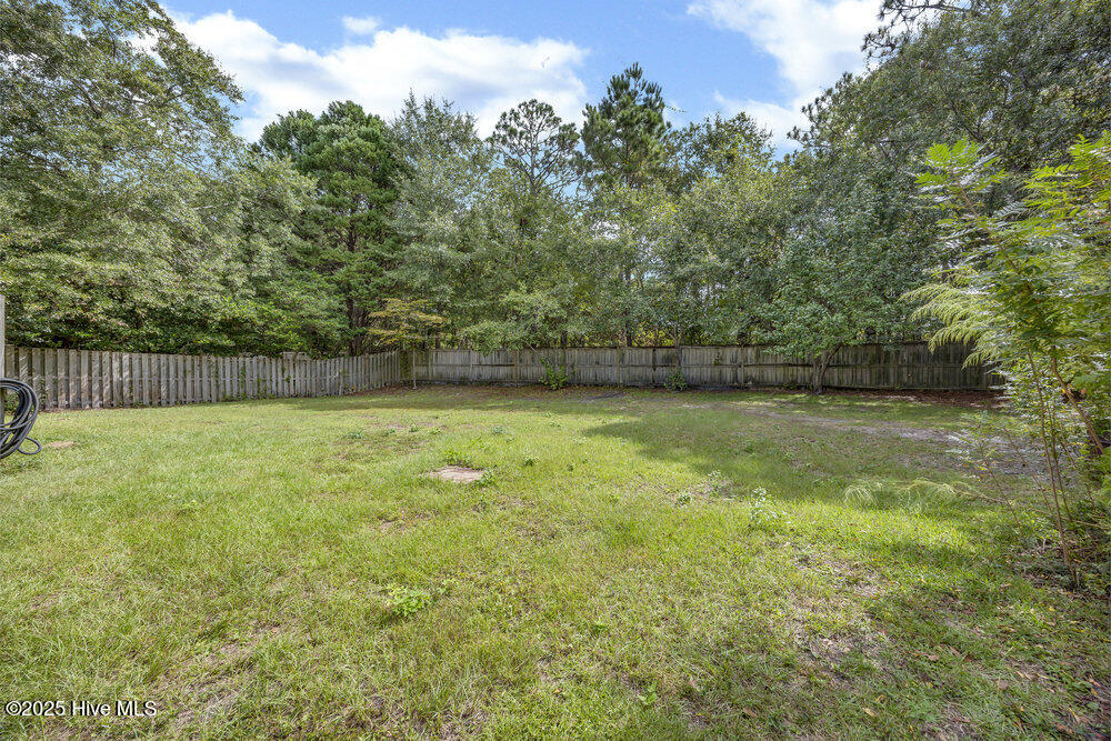 100537017 | Photo 25