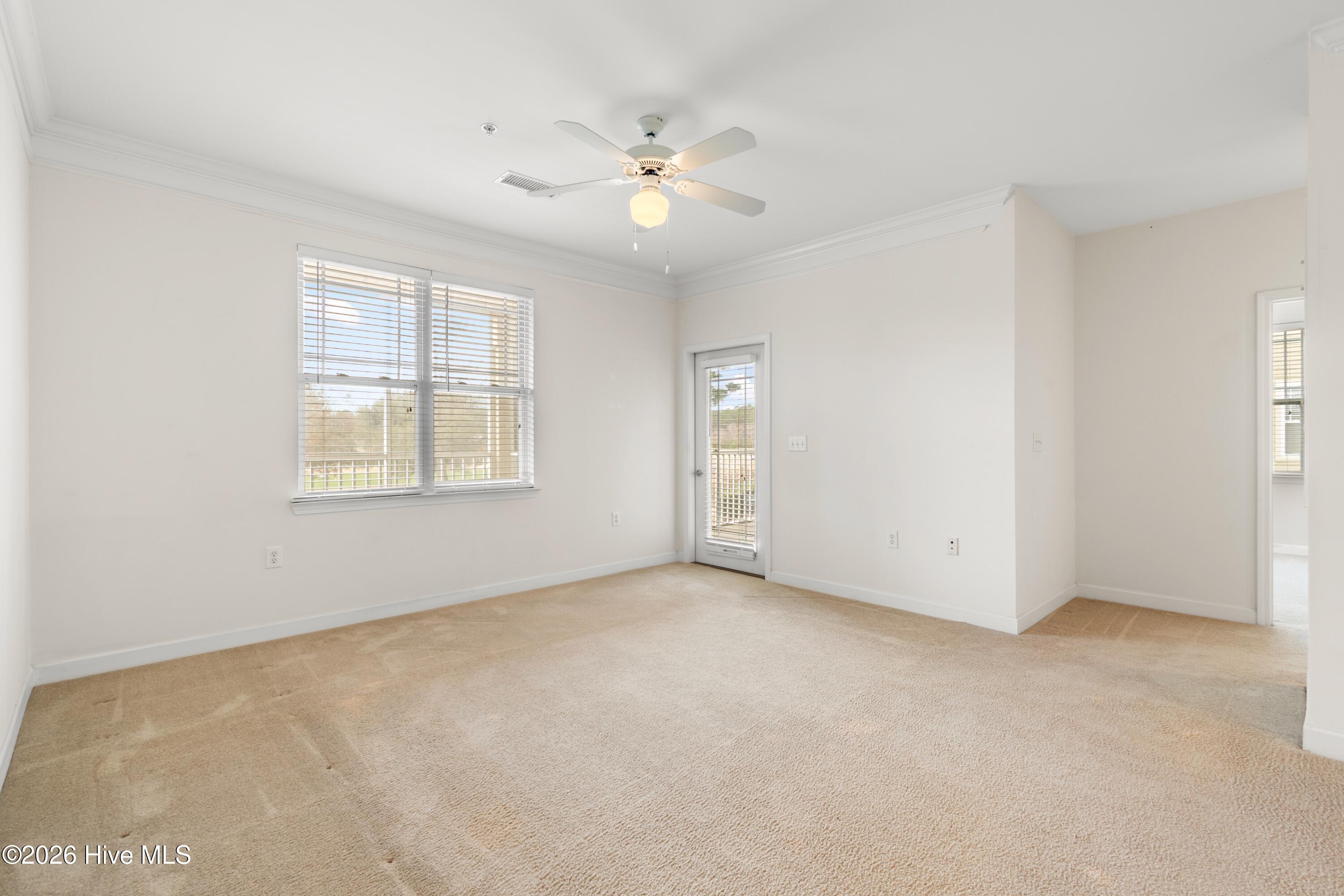 100557008 | Photo 10