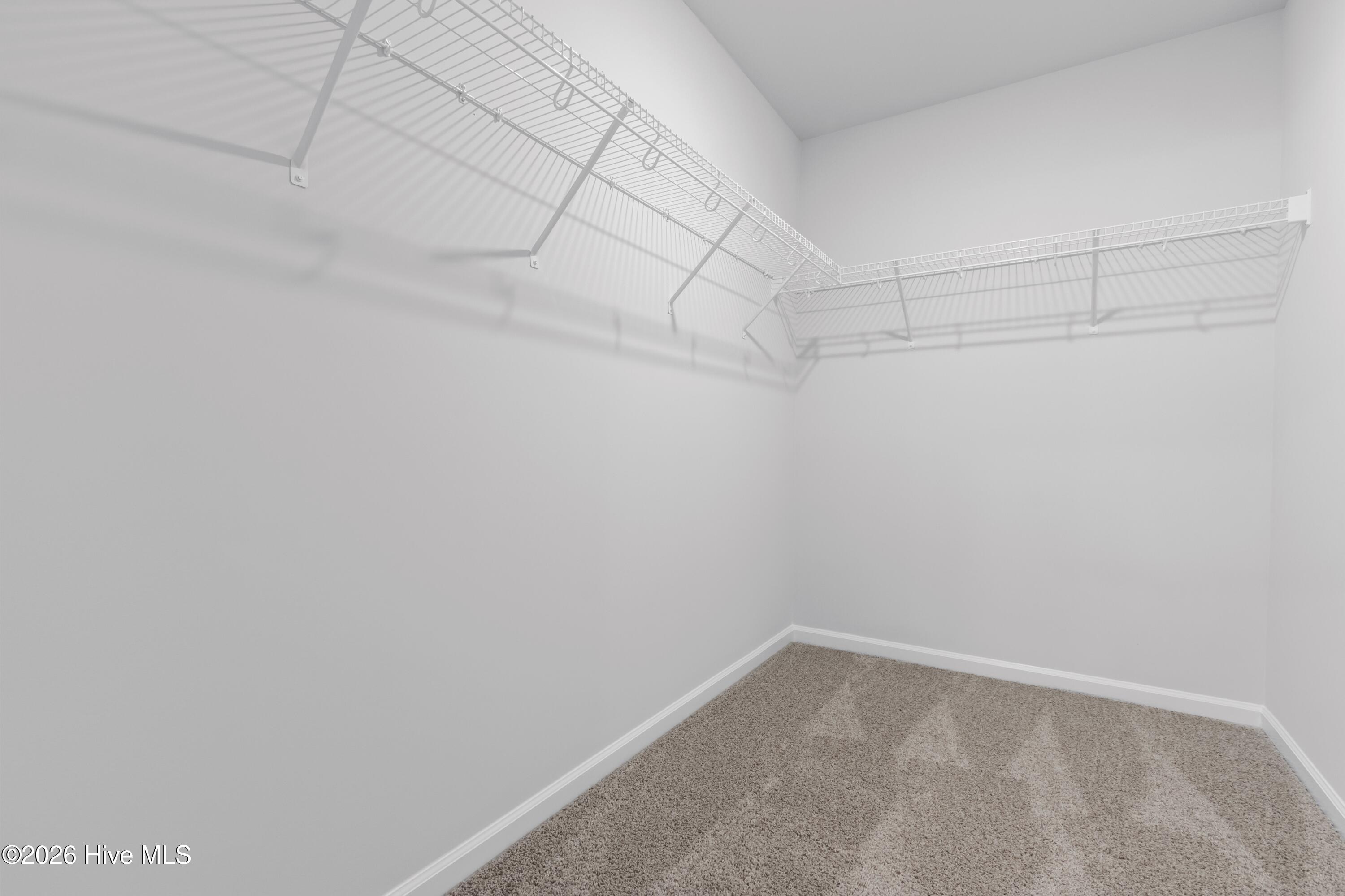 100557656 | Photo 40