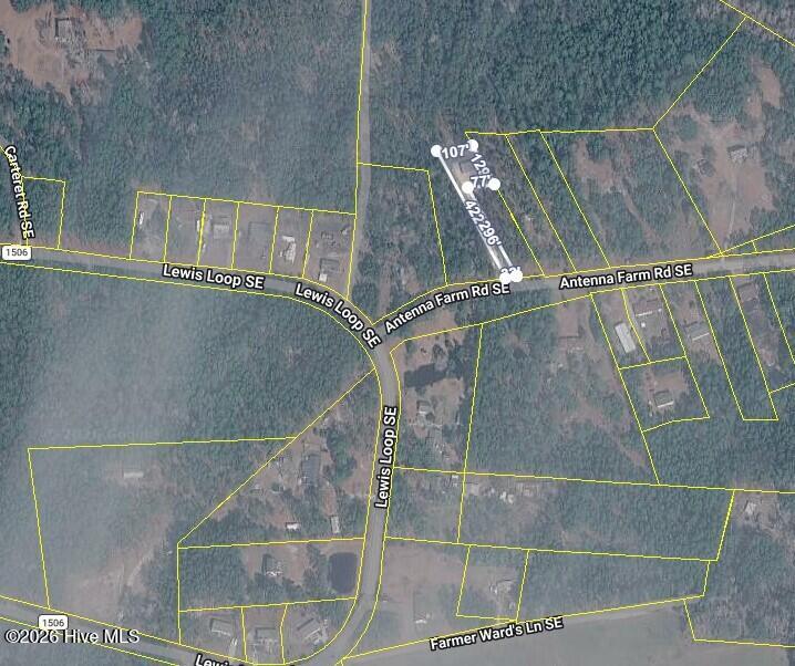 100553125 | Photo 12