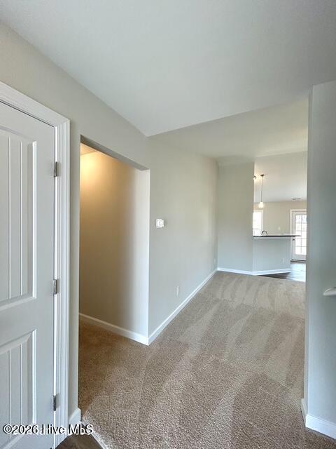 100560843 | Photo 15