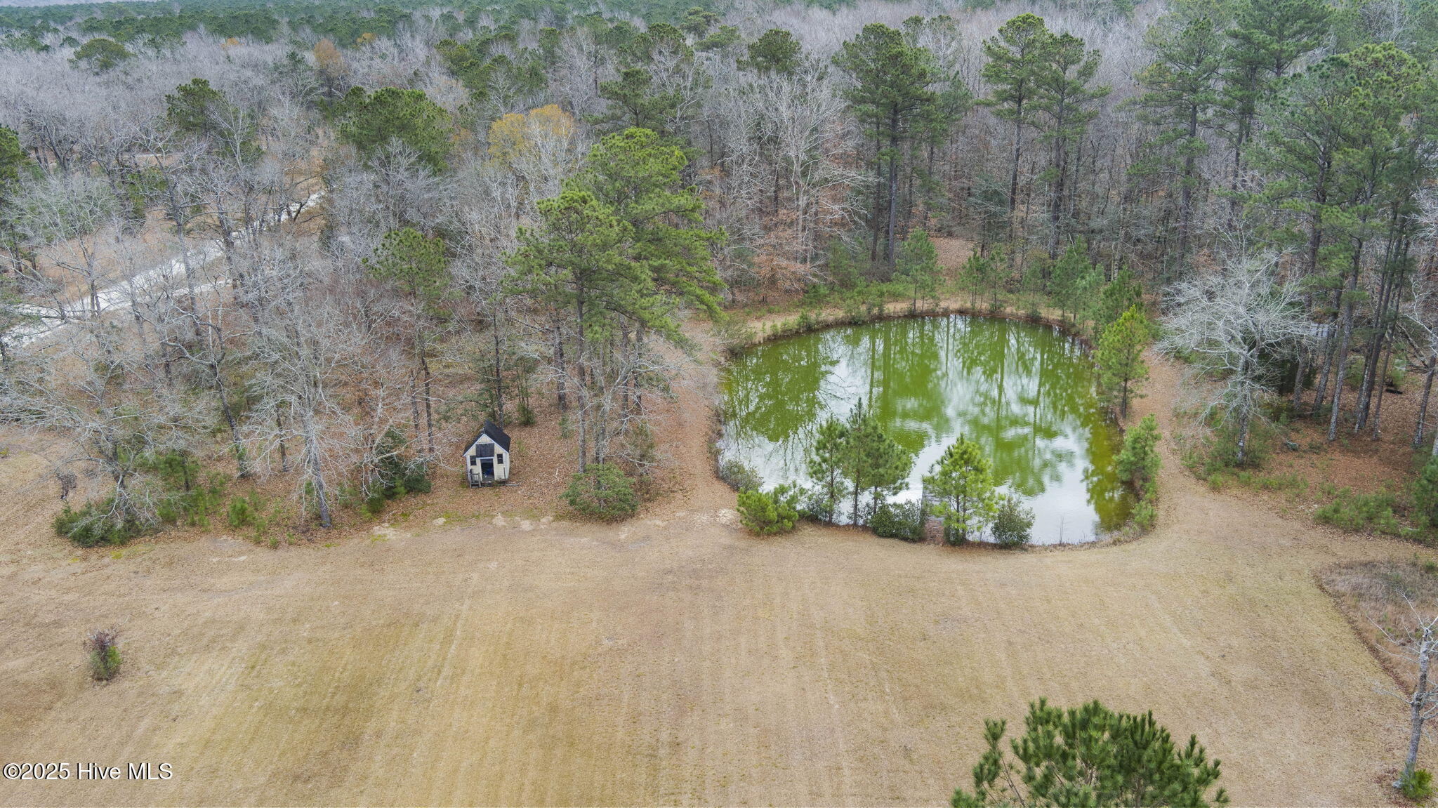 100546888 | Photo 15