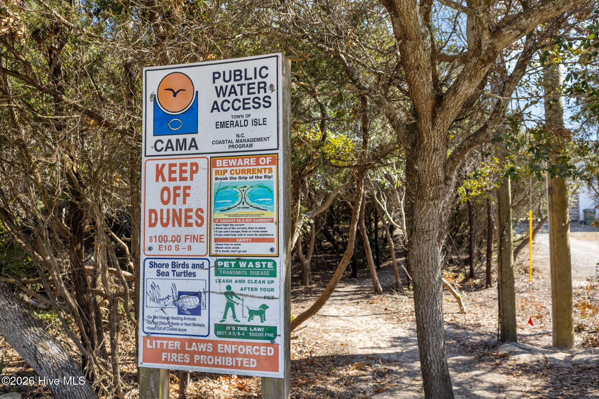 100557603 | Photo 13