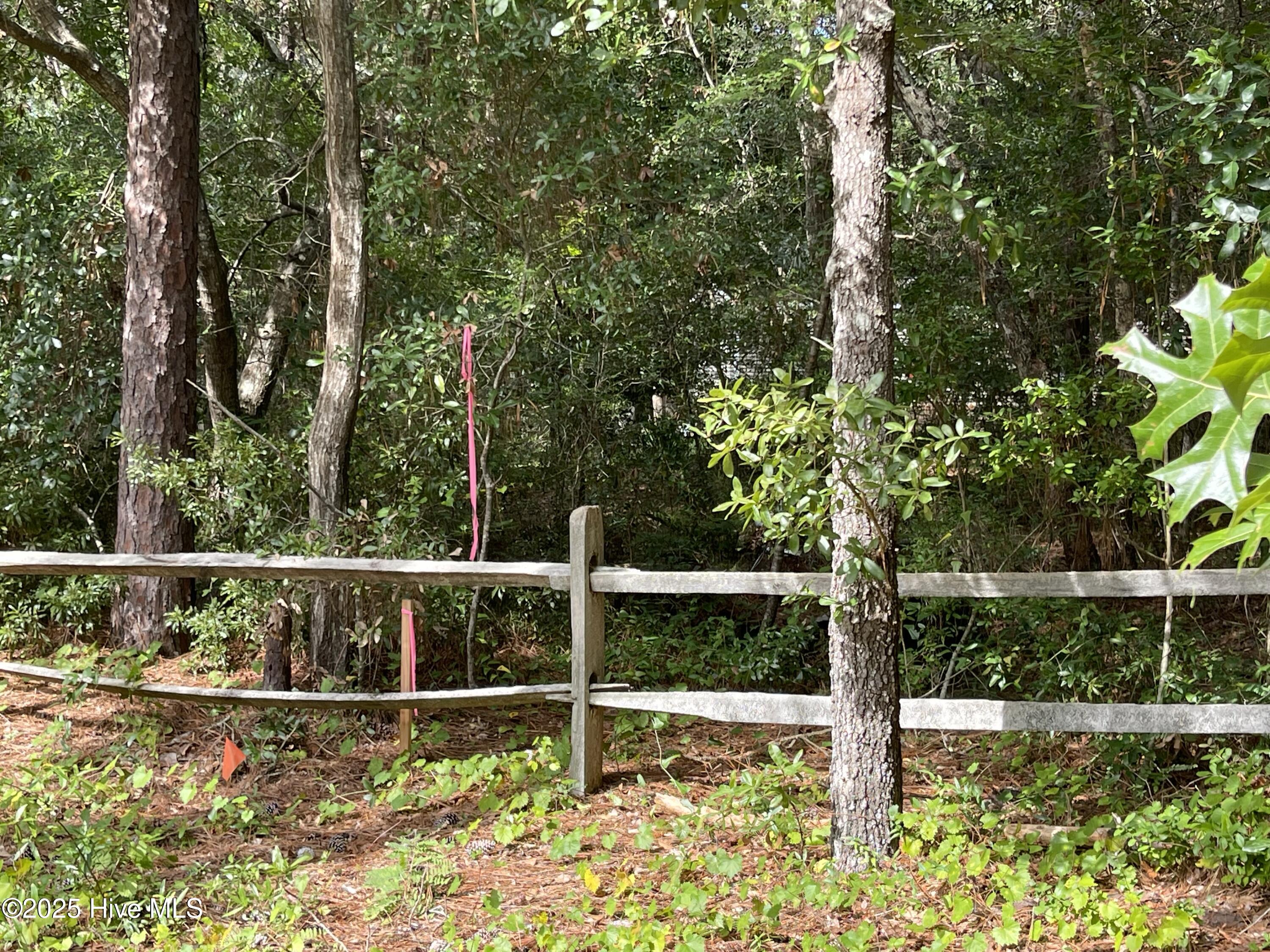 100526164 | Photo 12