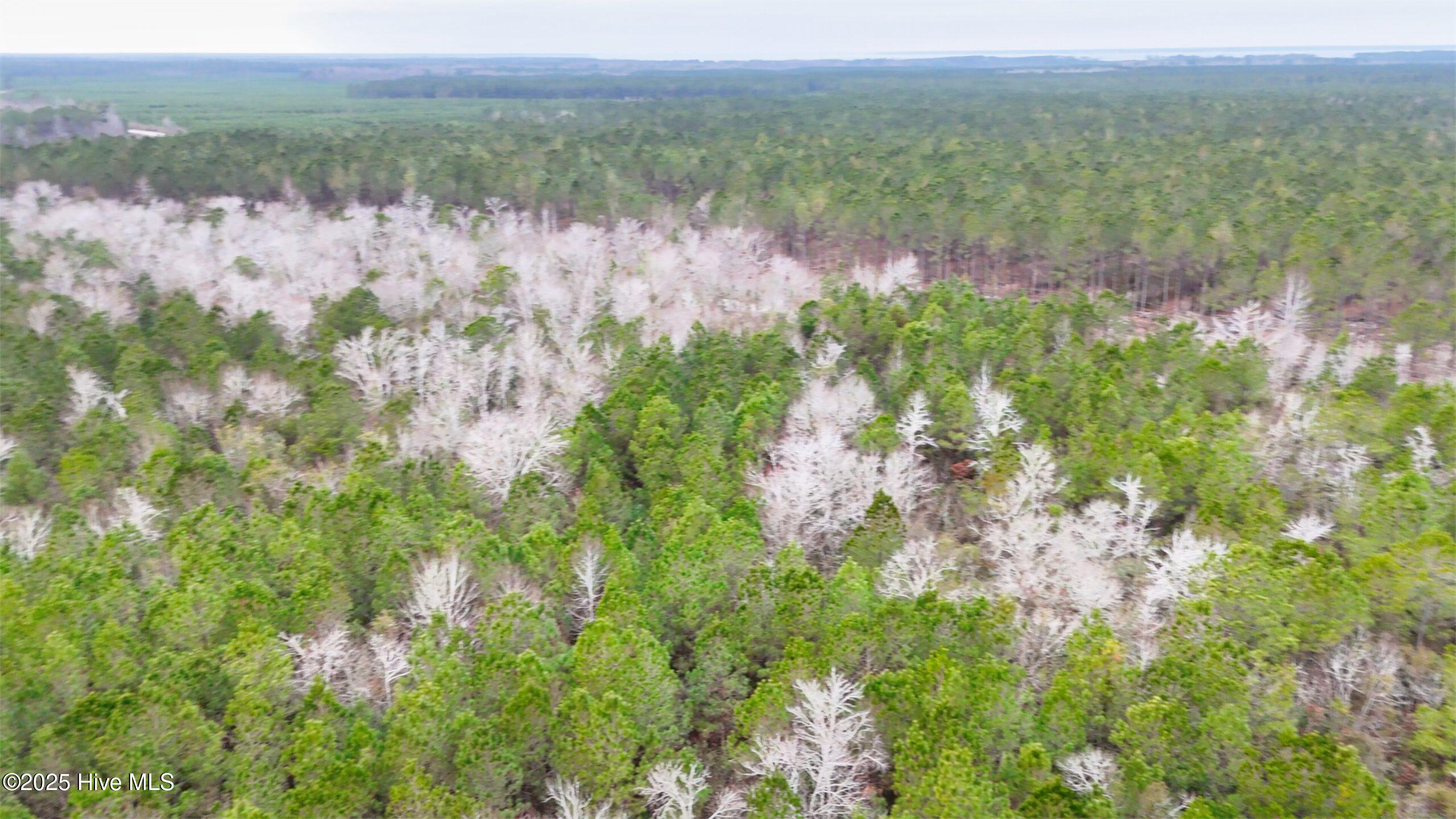 Homes for sale in Havelock, NC | 45 Adams Dr, Havelock, NC 28532 | MLS# 100538157