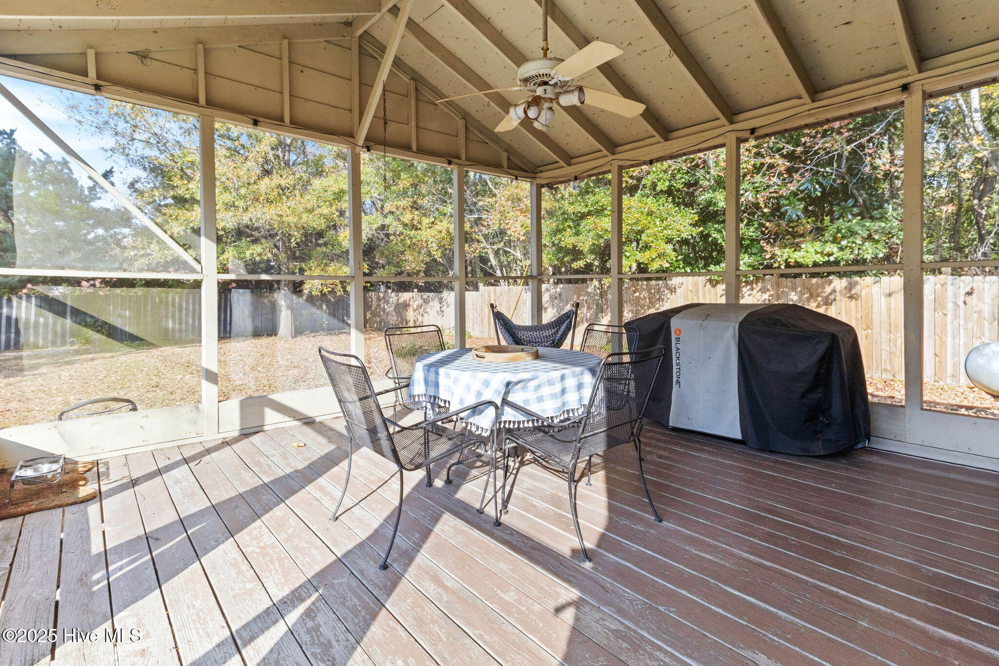 100542447 | Photo 22