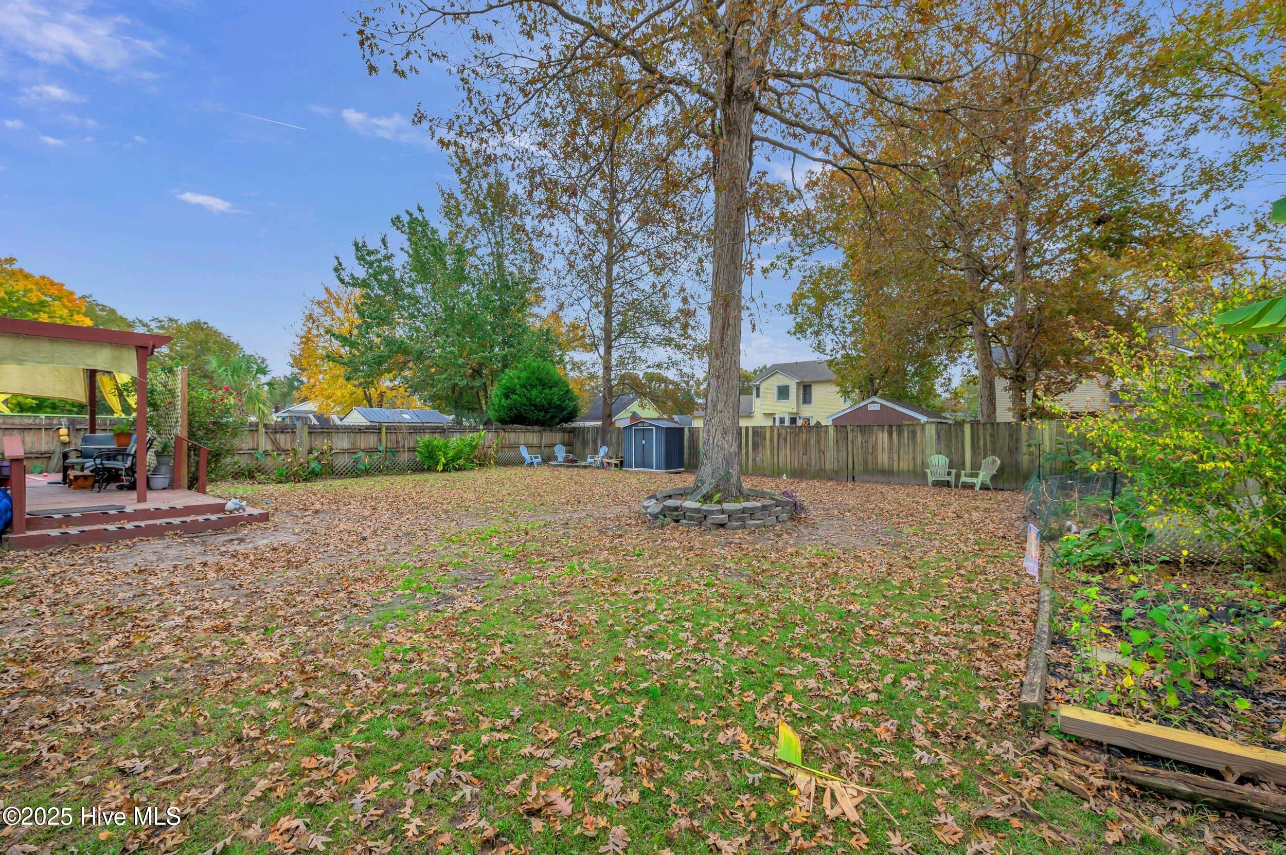 100540534 | Photo 36