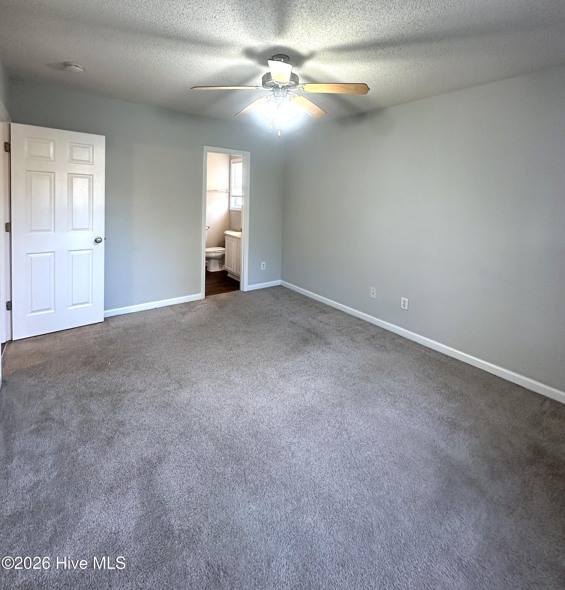 100542489 | Photo 12