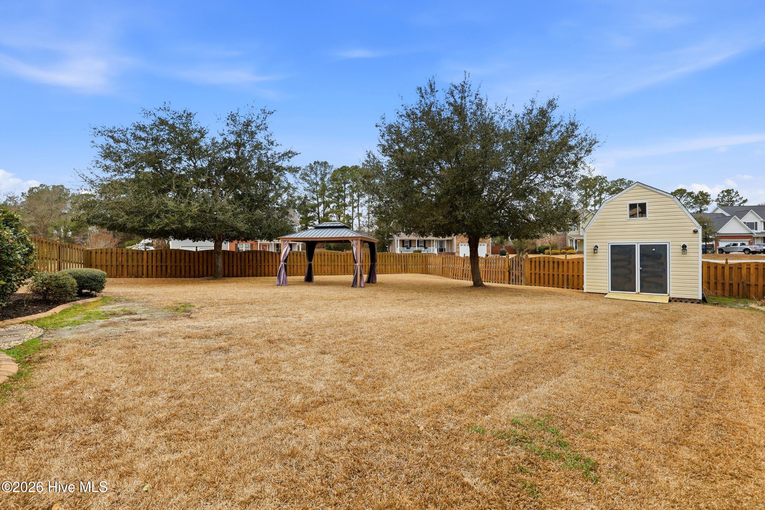 100558119 | Photo 41