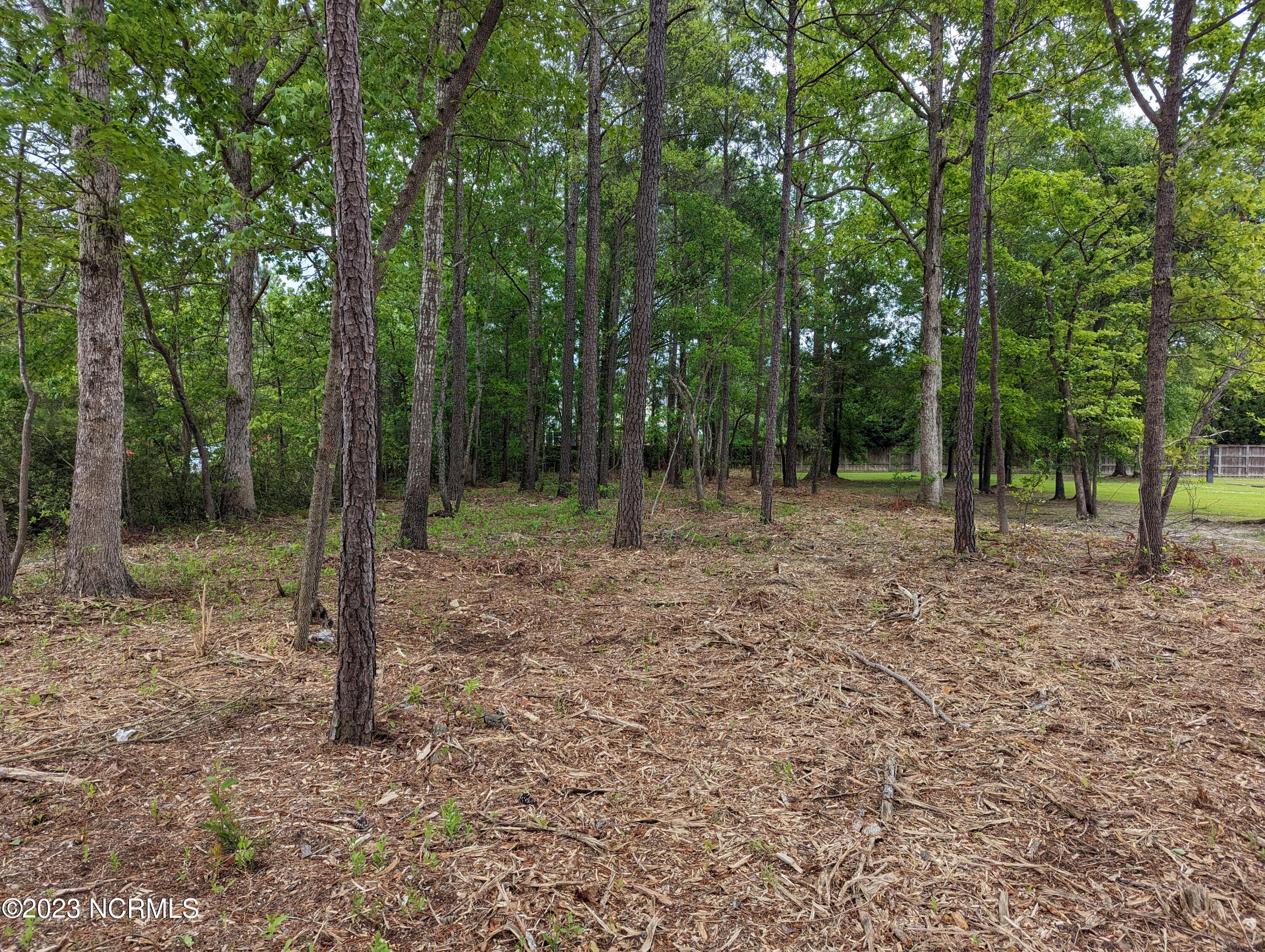 2520 Henderson Drive,Jacksonville