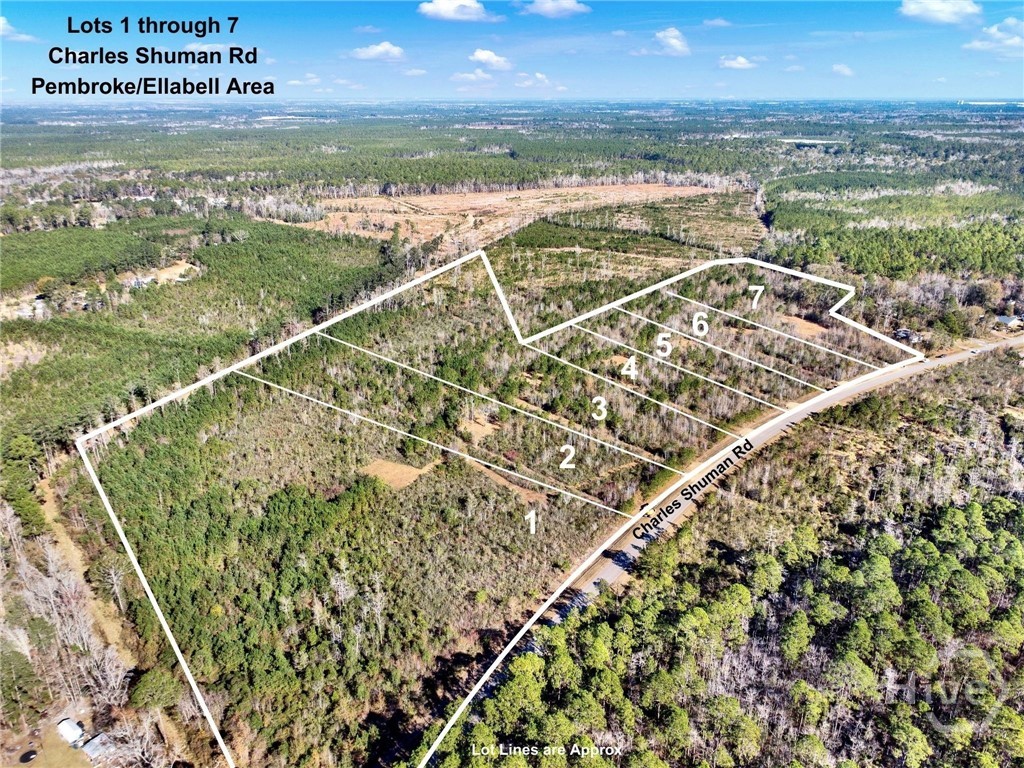 Homes for sale in Pembroke, GA | Lot 5 Charles Shuman Rd, Pembroke, GA 31321 | MLS# SA340262
