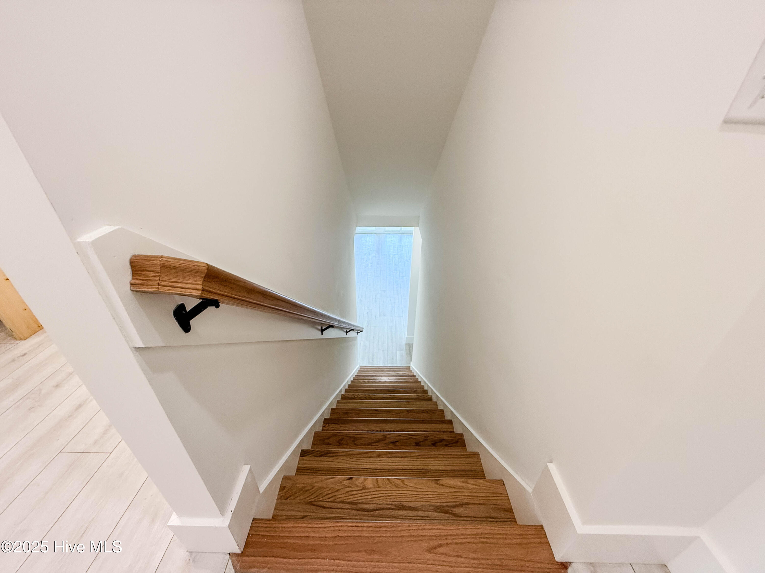 100539536 | Photo 104