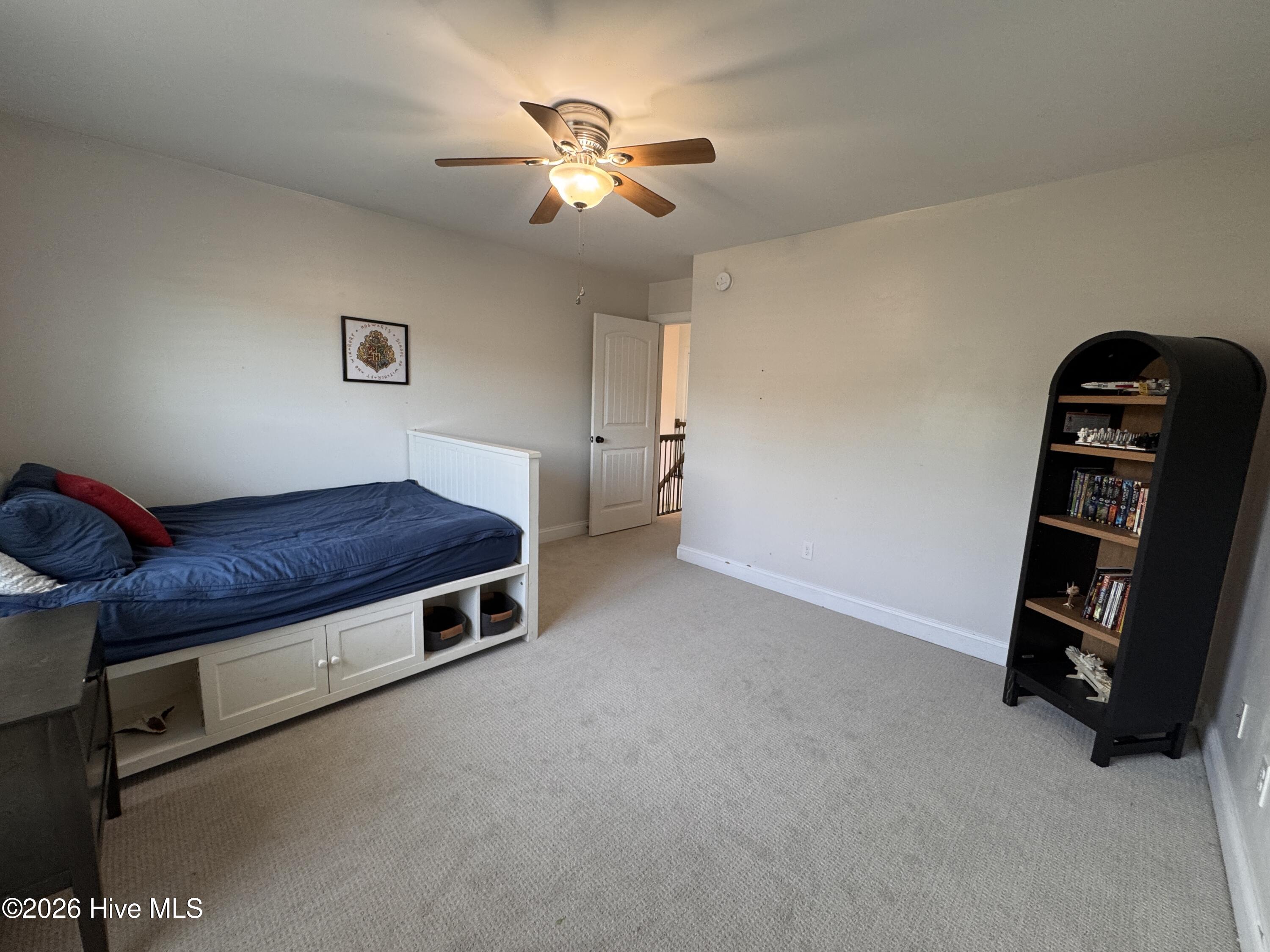 100570096 | Photo 15