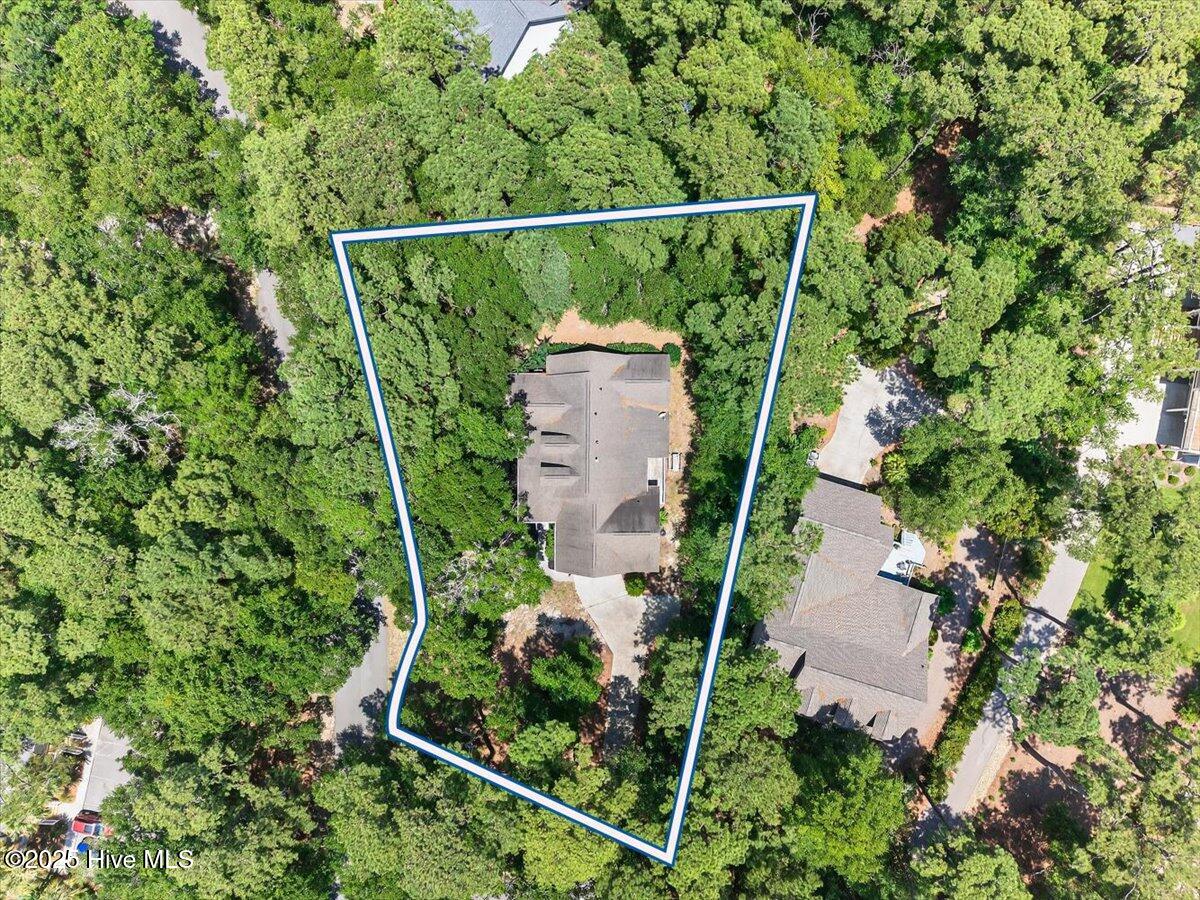 100518742 | Photo 42