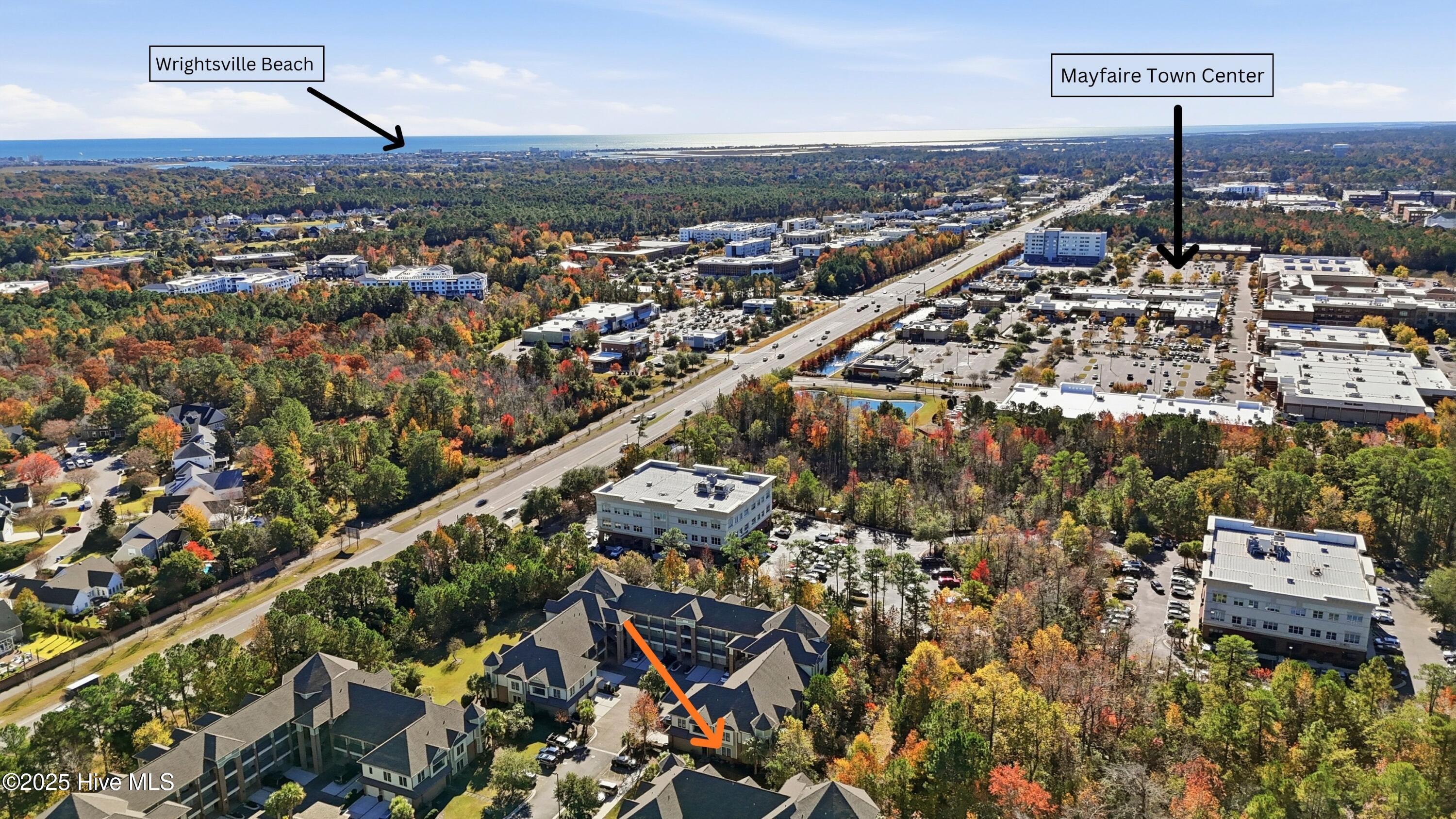 100541571 | Photo 43