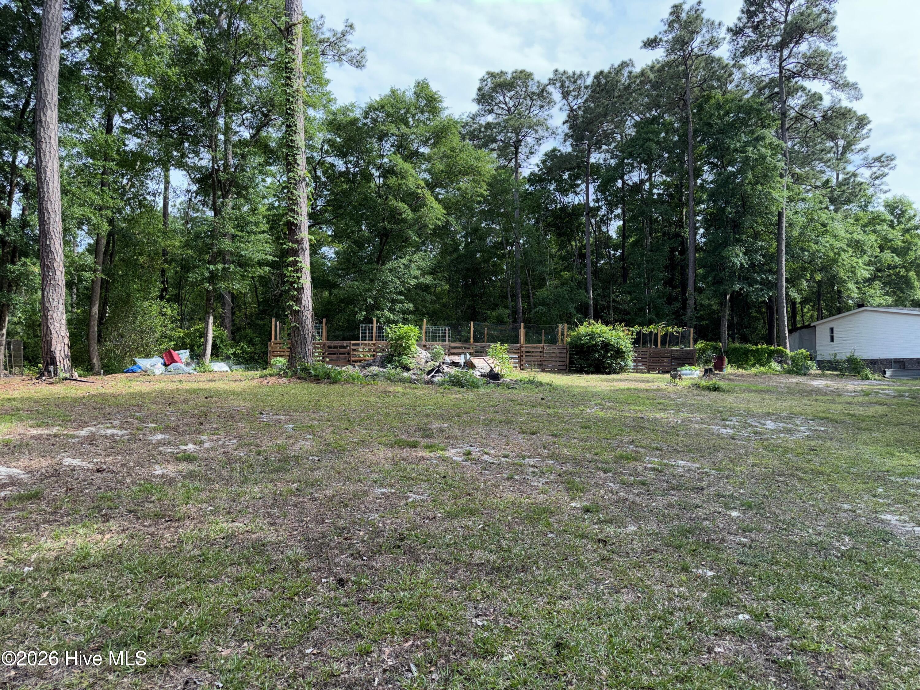 100573037 | Photo 4