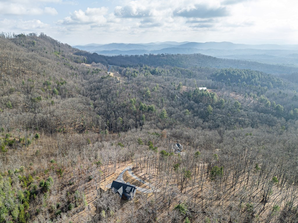 318 Tracks Hollow, Murphy, NC 28906 Listing Photo  49