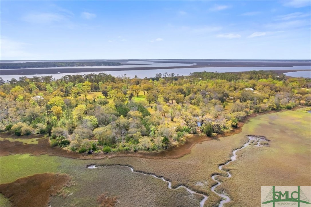 LOT 6 Bermuda Bluff Lane, Midway, GA, 31320