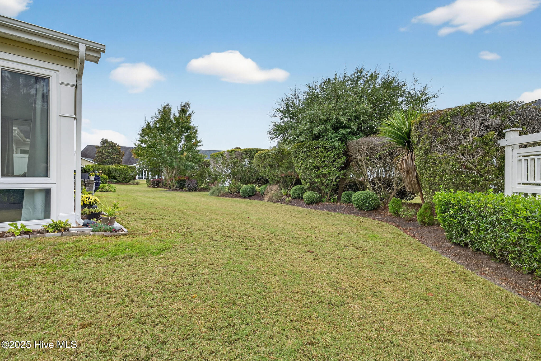 100538895 | Photo 43