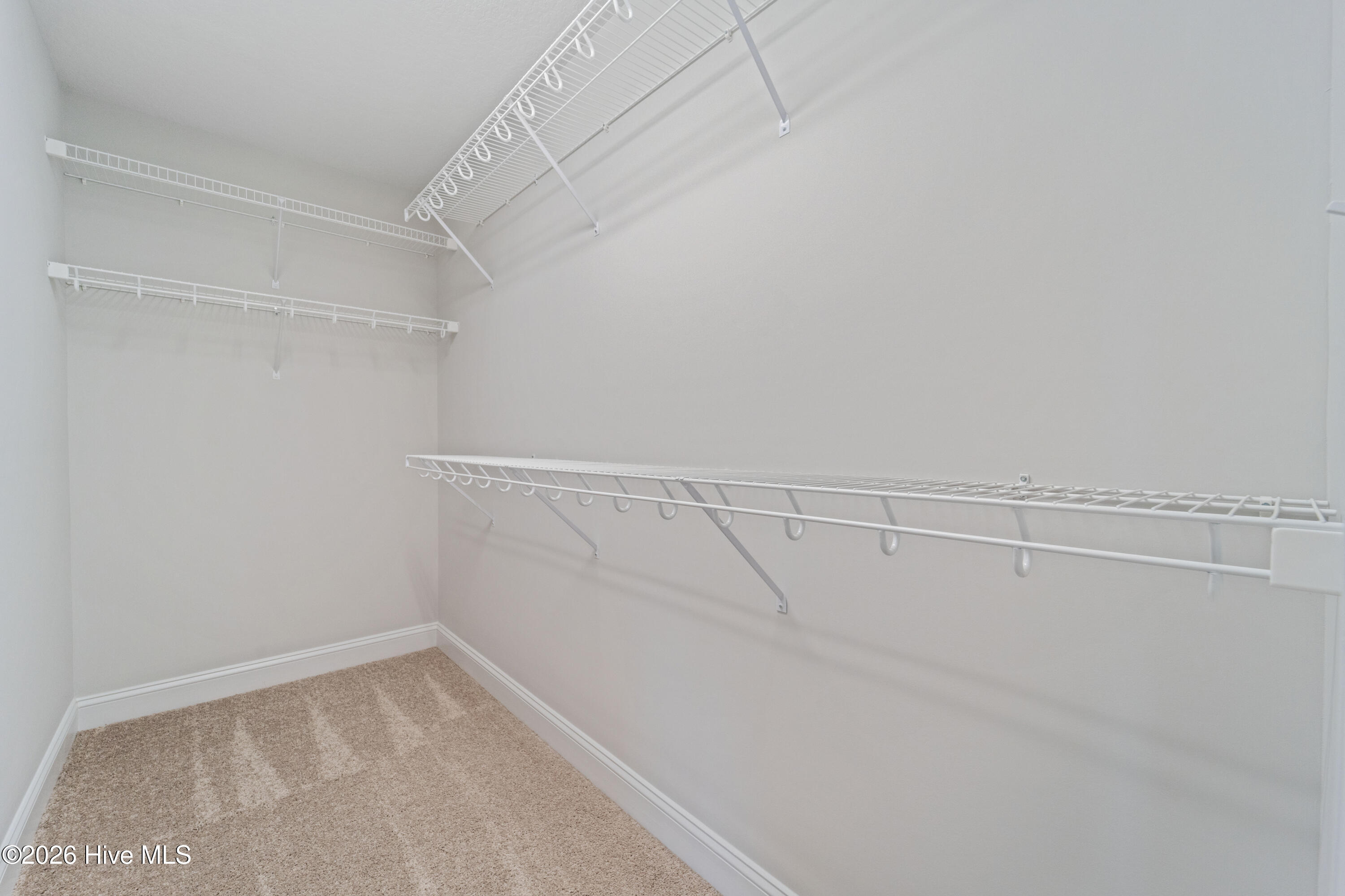 100530665 | Photo 20