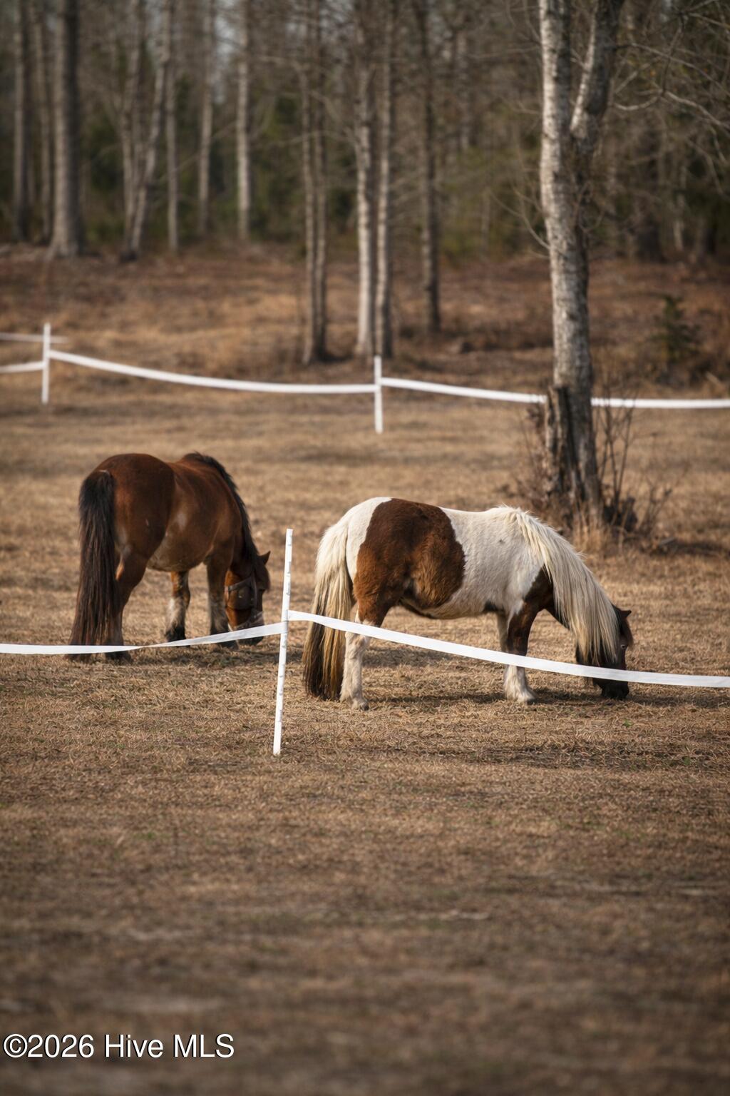 100556828 | Photo 36