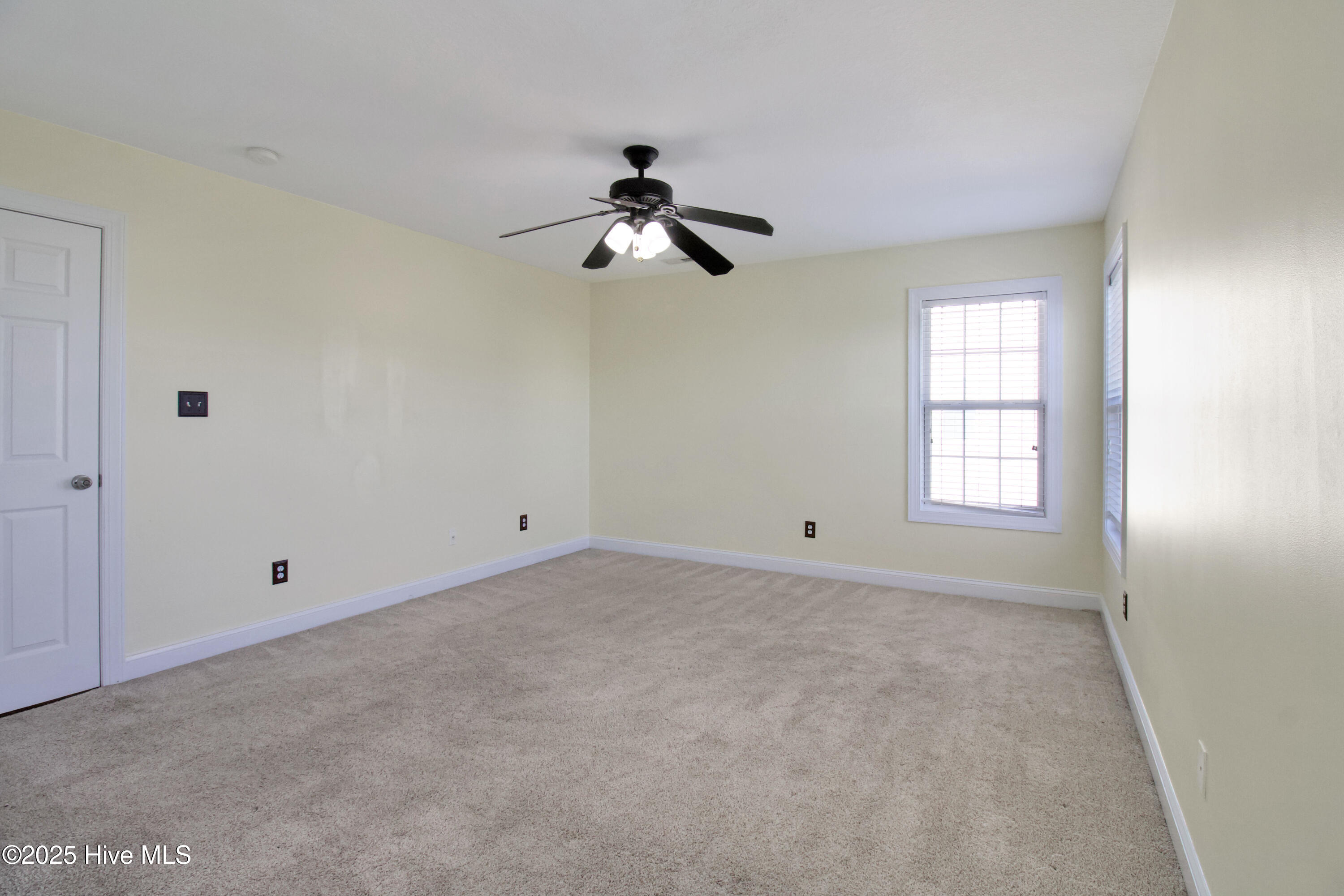 100538875 | Photo 25