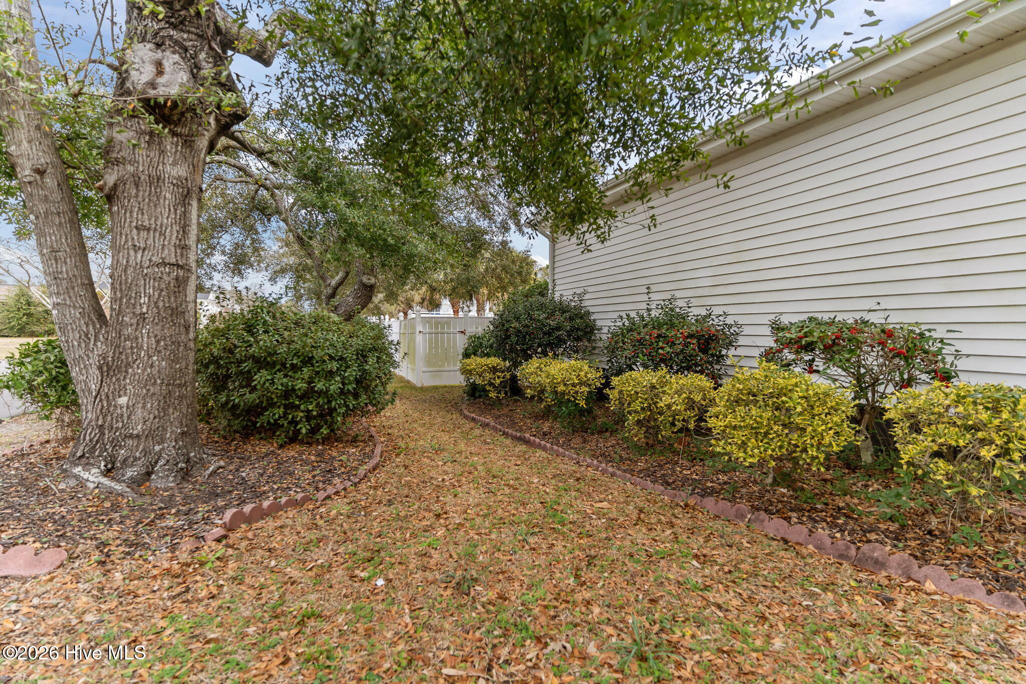 100549517 | Photo 42