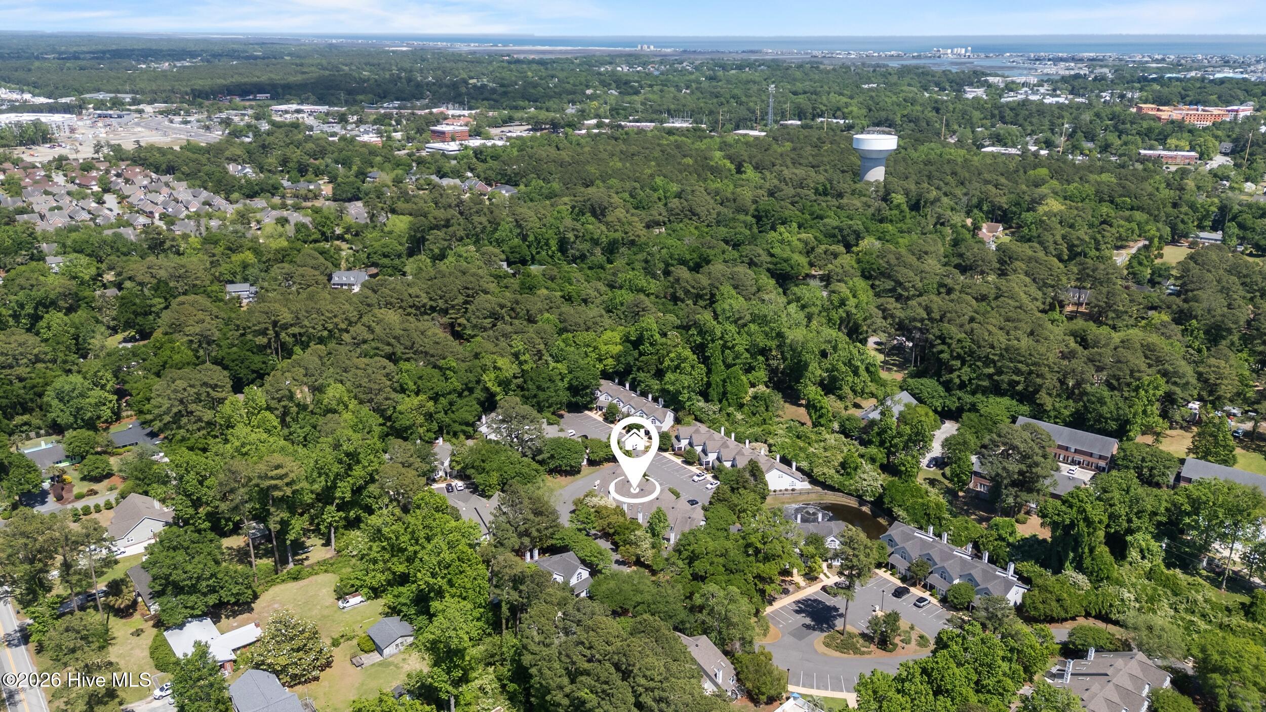 100570067 | Photo 39